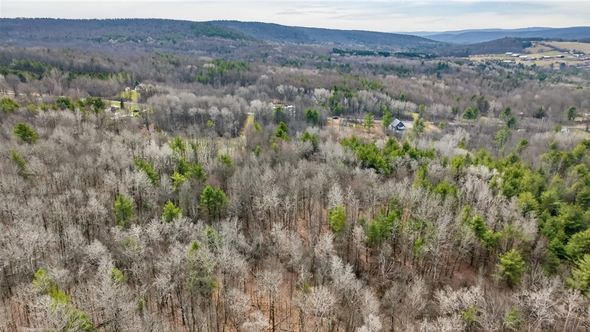 Property at 1351 Wollock Road, Tyrone, NY 14891 6
