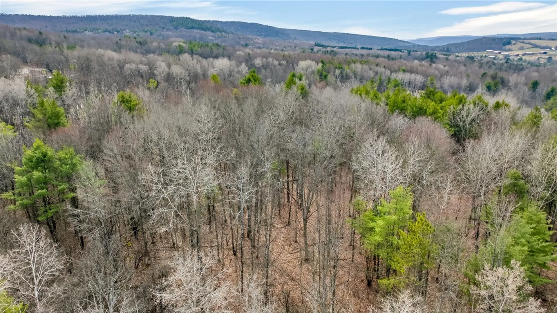 Property at 1351 Wollock Road, Tyrone, NY 14891 7