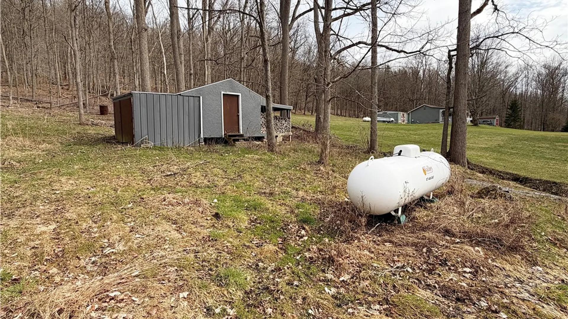 Property at 7731 N Main Street, Springwater, NY 14560 11