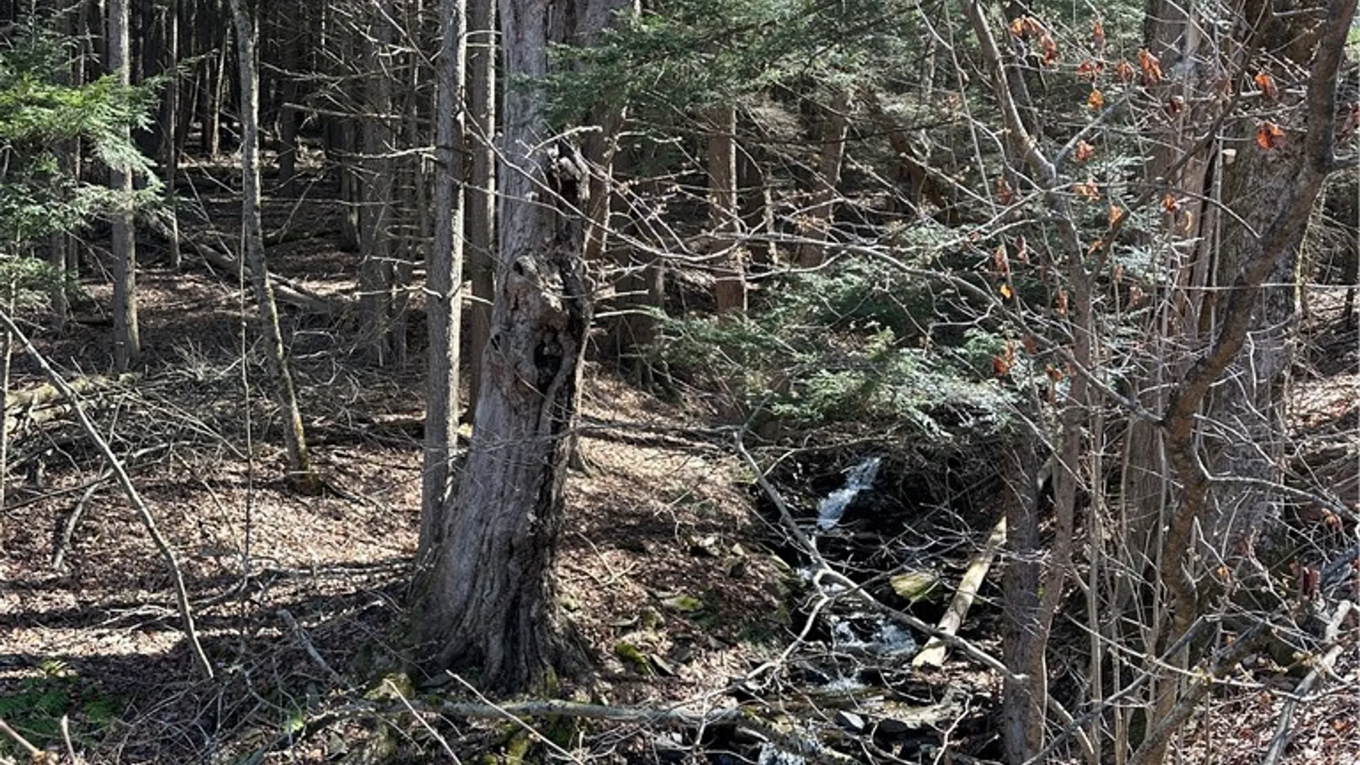 Property at 1444 County Highway 4, Sidney, NY 13838 5