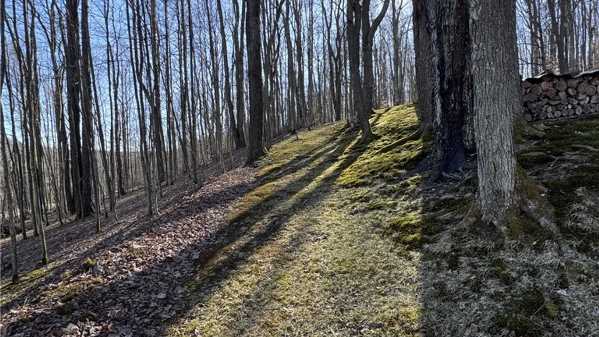 Property at 725 Red Mill Road, Sergeant Twp, PA 16749 2