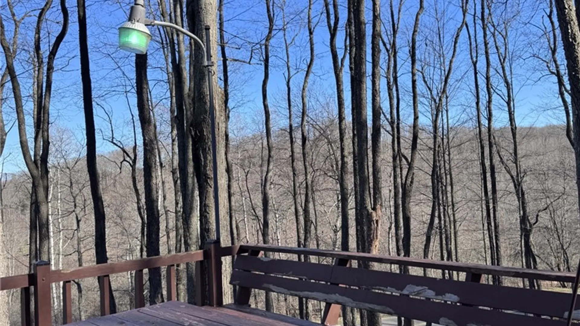 Property at 725 Red Mill Road, Sergeant Twp, PA 16749 26