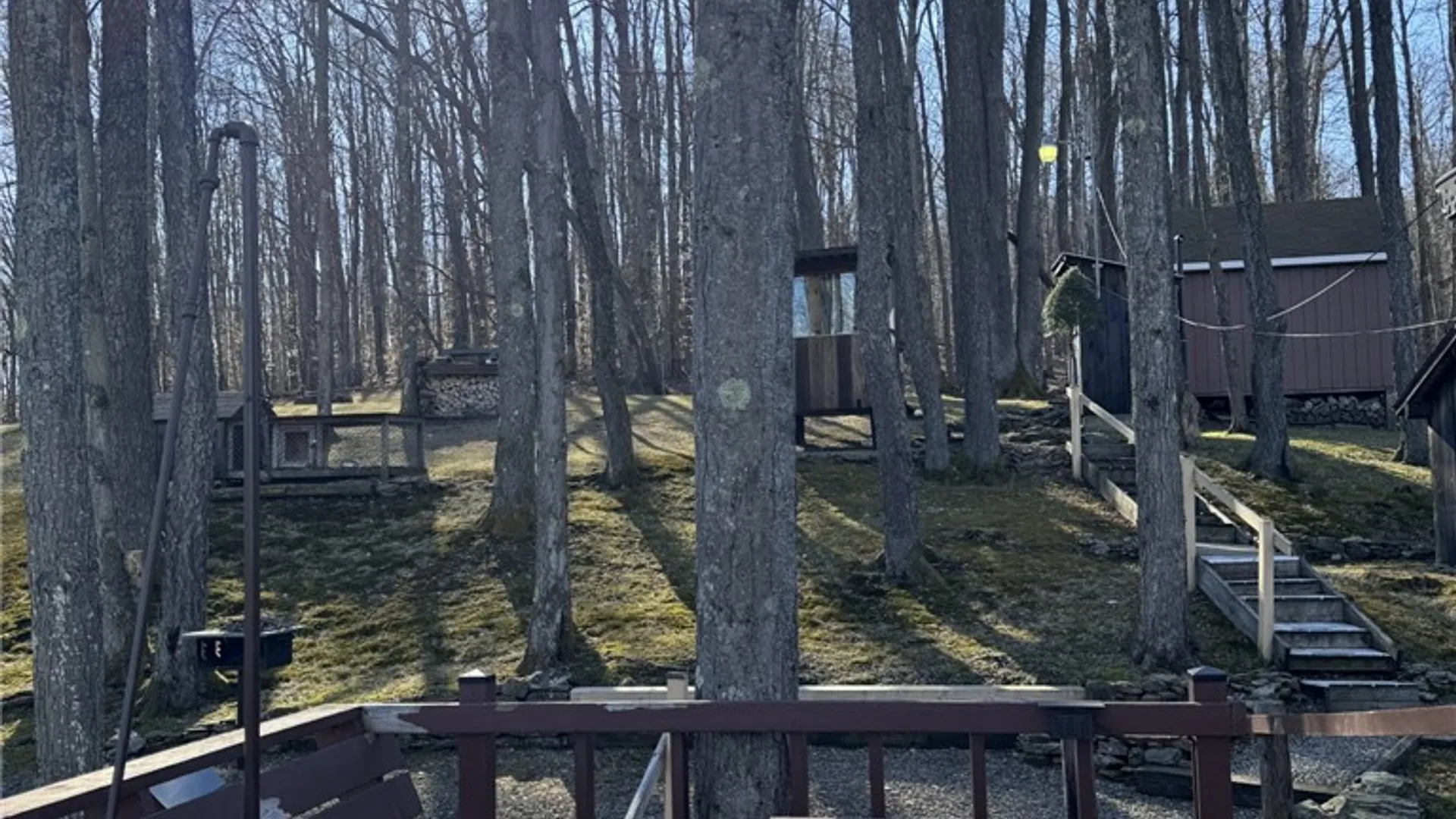Property at 725 Red Mill Road, Sergeant Twp, PA 16749 27