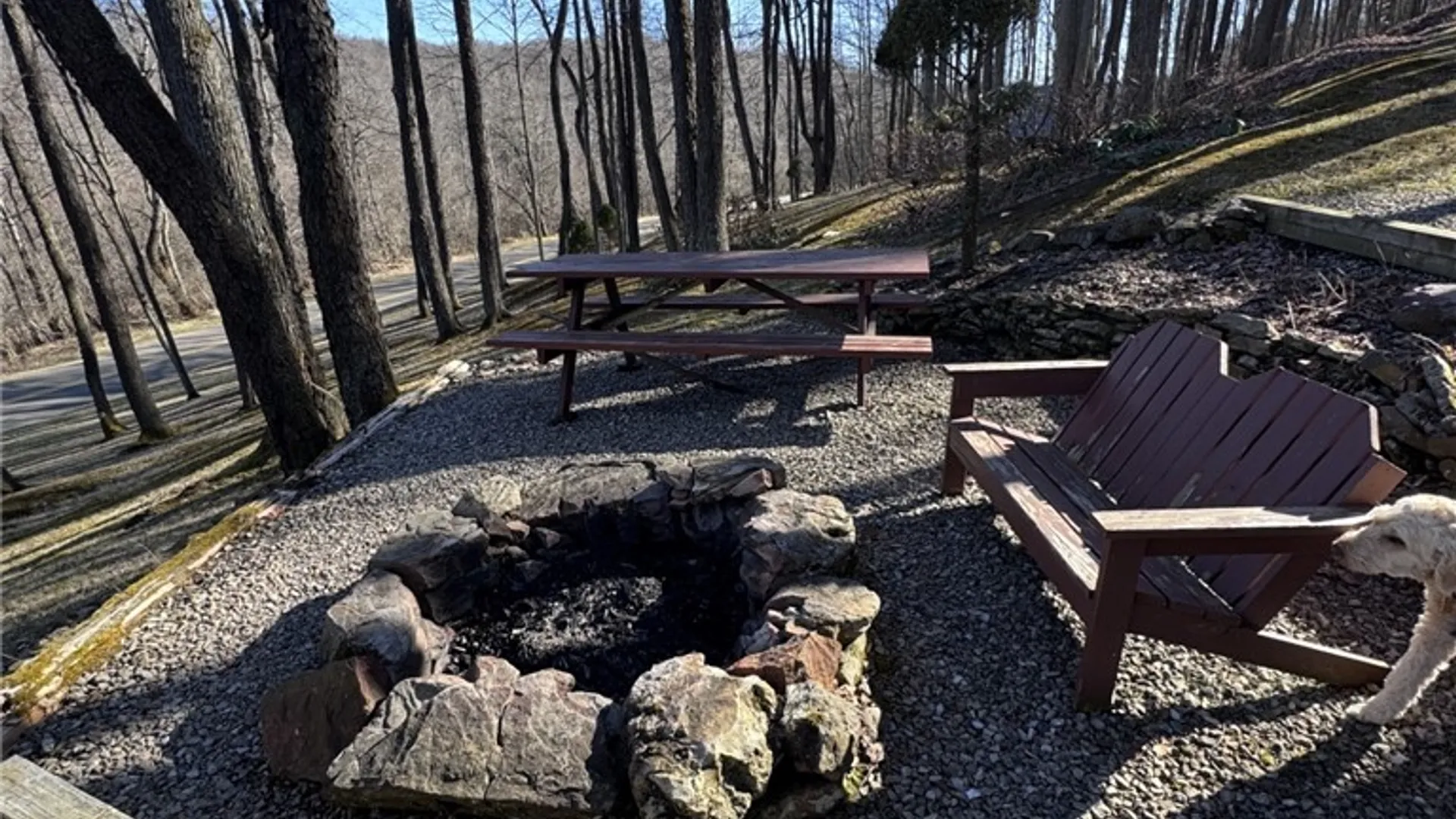 Property at 725 Red Mill Road, Sergeant Twp, PA 16749 3