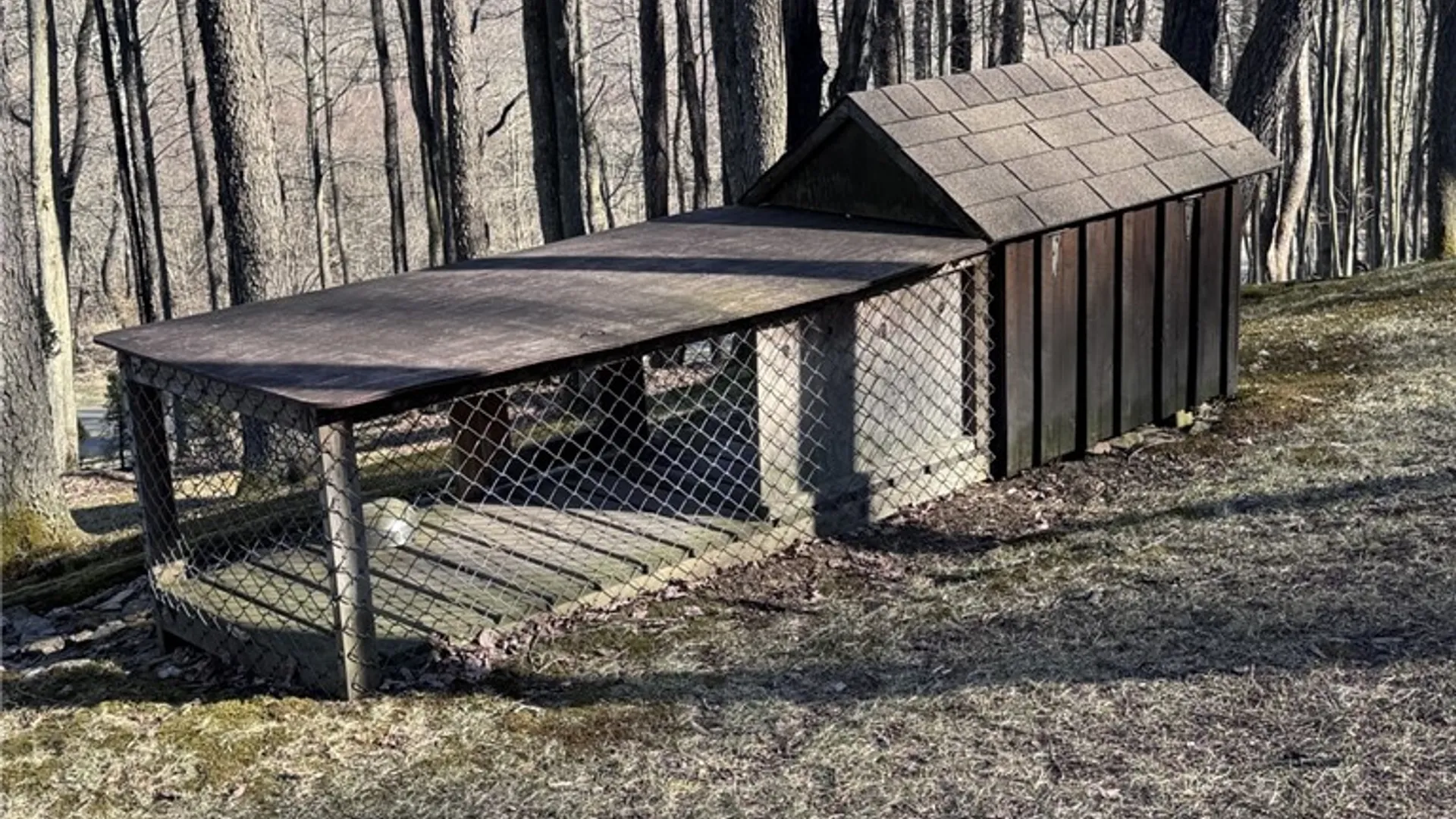 Property at 725 Red Mill Road, Sergeant Twp, PA 16749 32