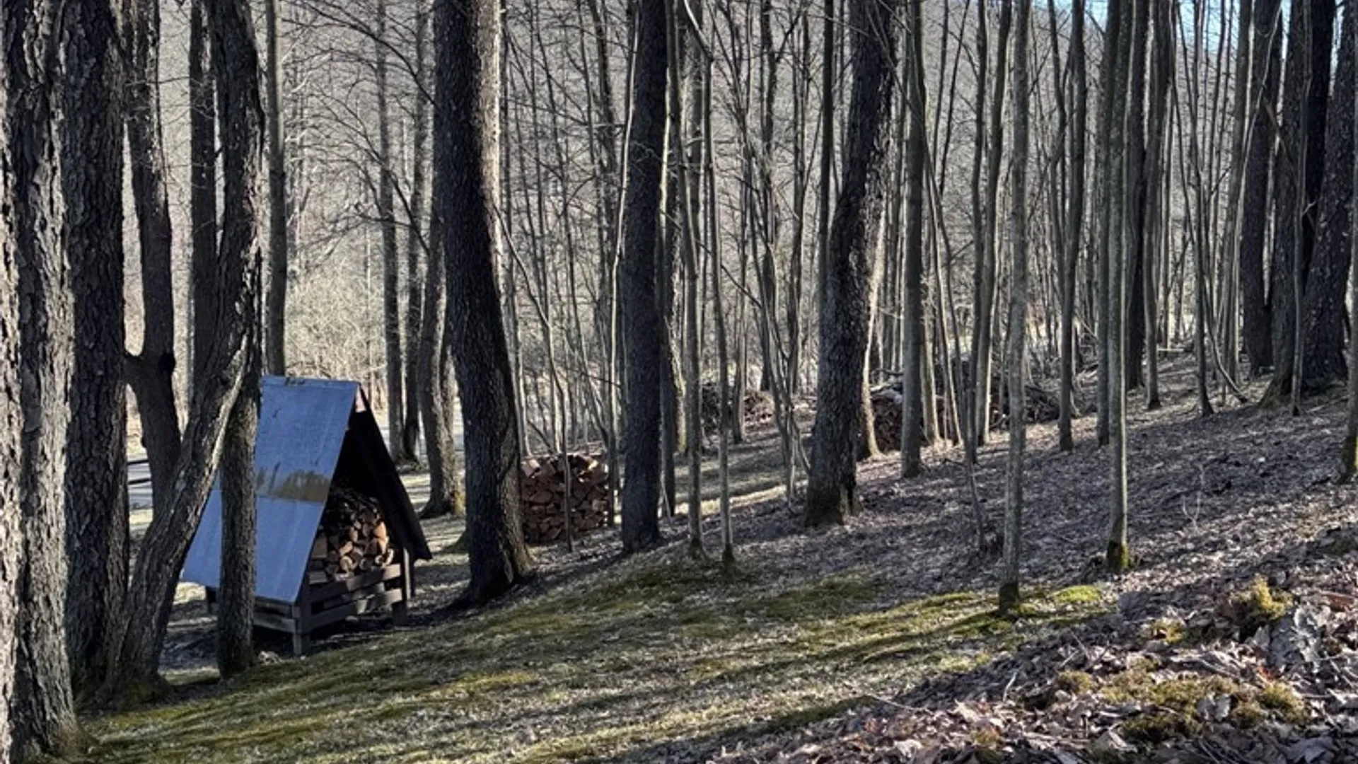 Property at 725 Red Mill Road, Sergeant Twp, PA 16749 36