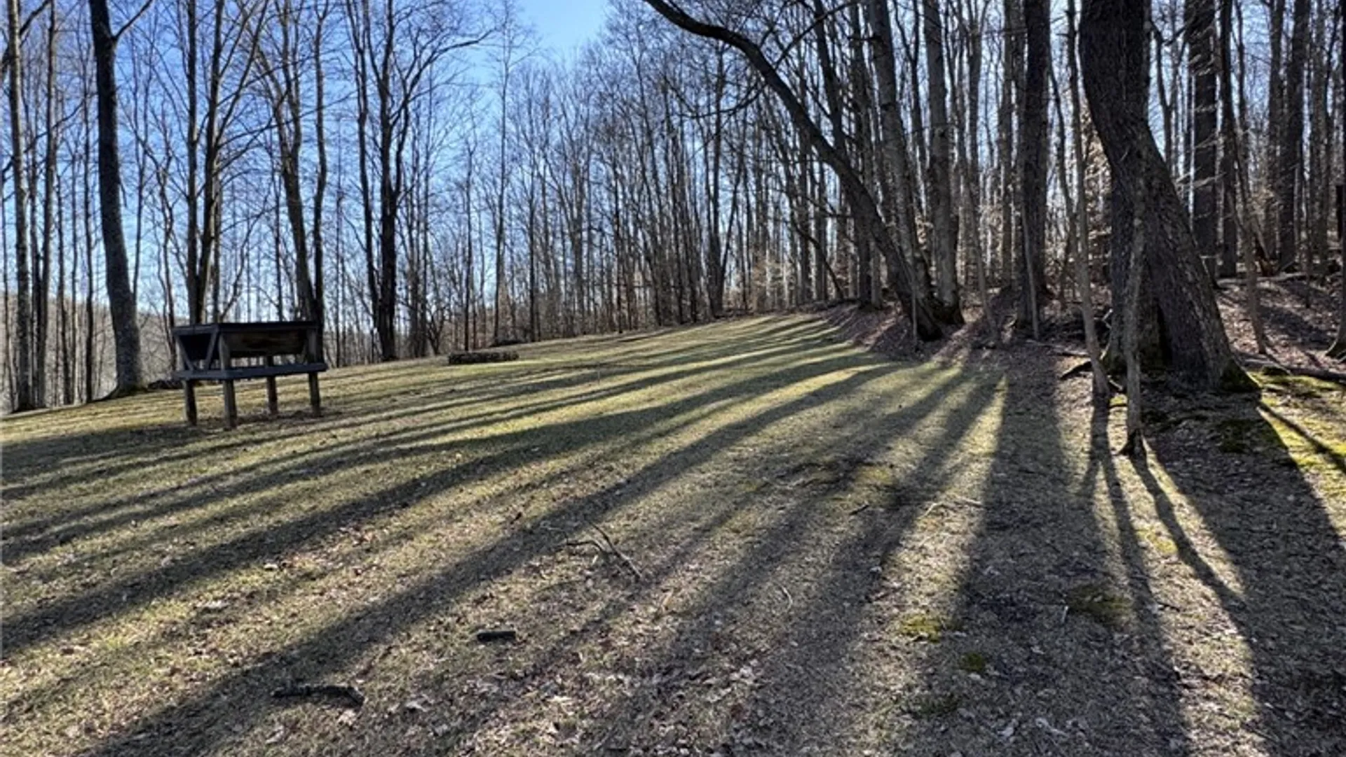 Property at 725 Red Mill Road, Sergeant Twp, PA 16749 40