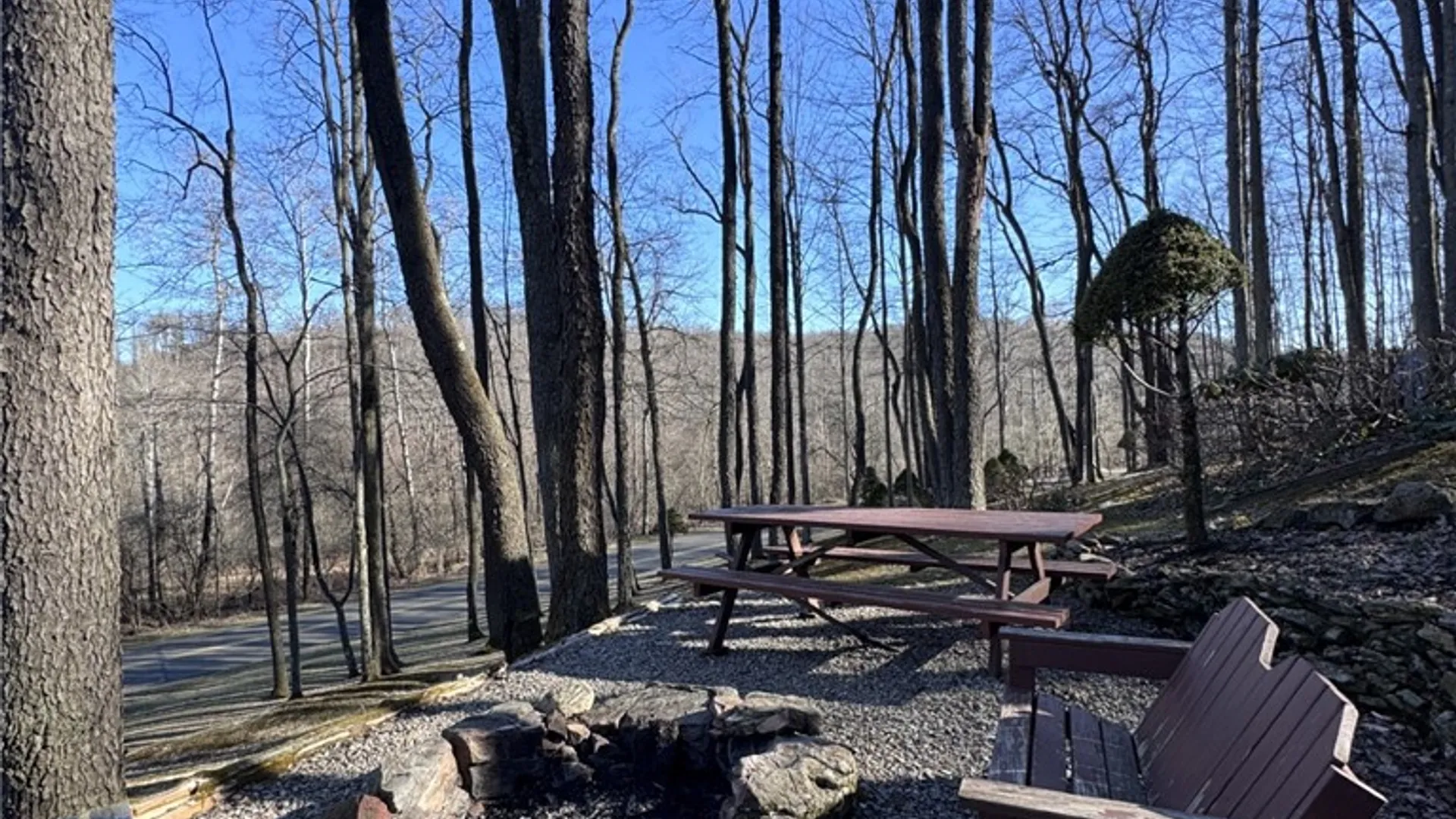 Property at 725 Red Mill Road, Sergeant Twp, PA 16749 42