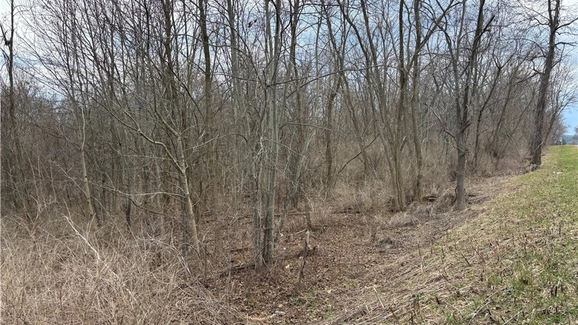 Property at County Route 76, Pulteney, NY 14840 2