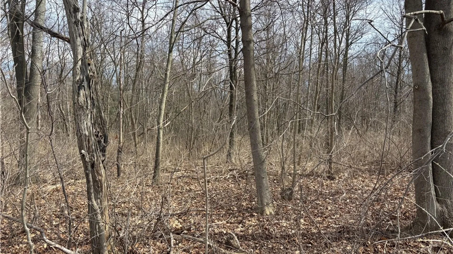 Property at County Route 76, Pulteney, NY 14840 3