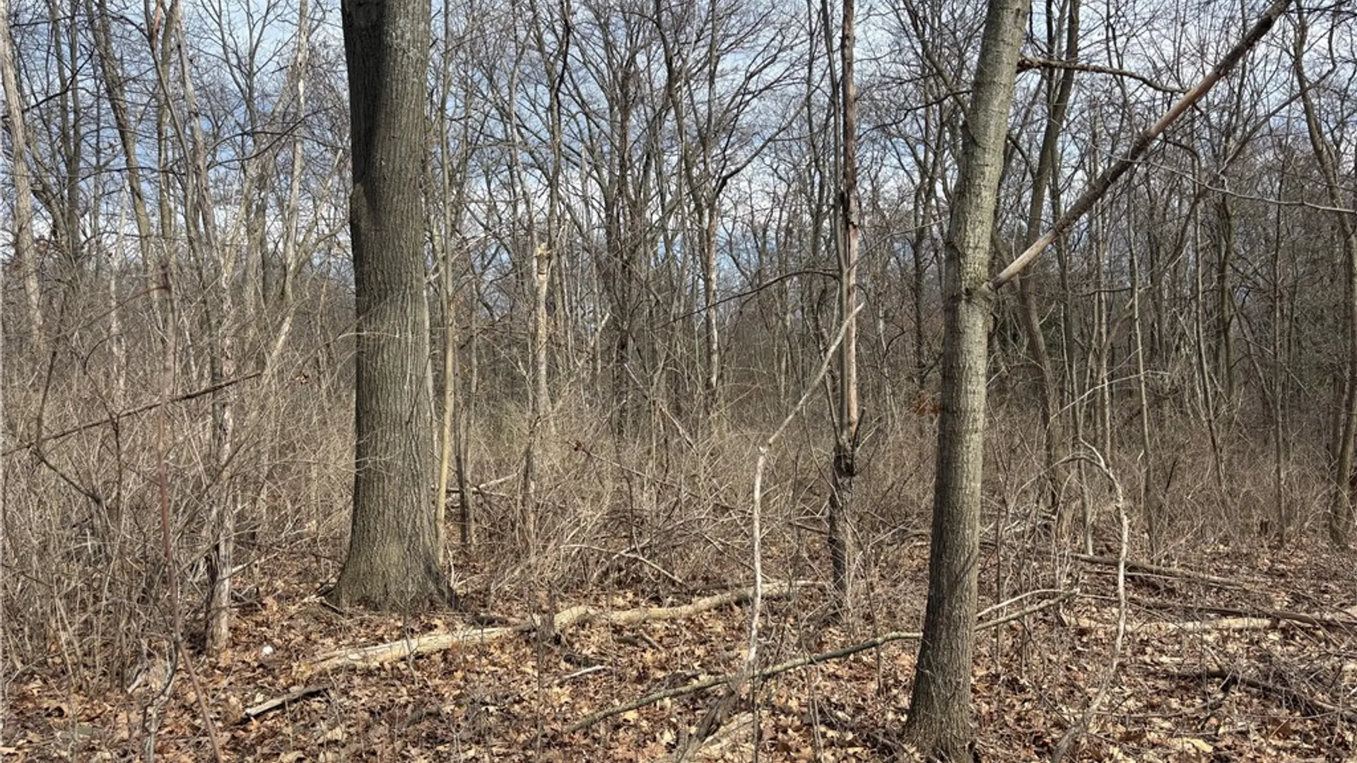 Property at County Route 76, Pulteney, NY 14840 4