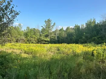 Property at 00WP Roney Rd, Preston Hollow, NY 12469