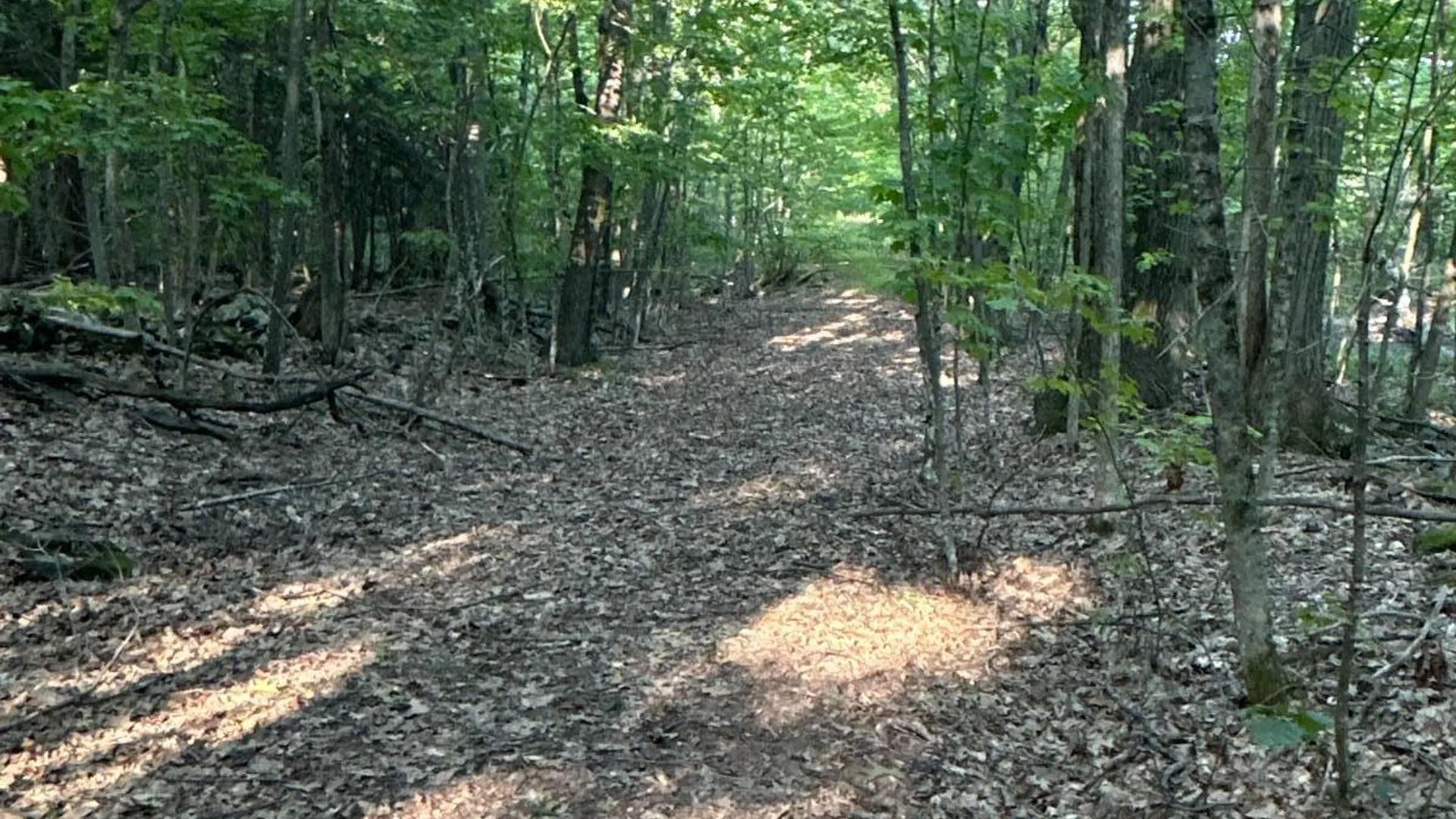 Property at 00WP Roney Rd, Preston Hollow, NY 12469 21