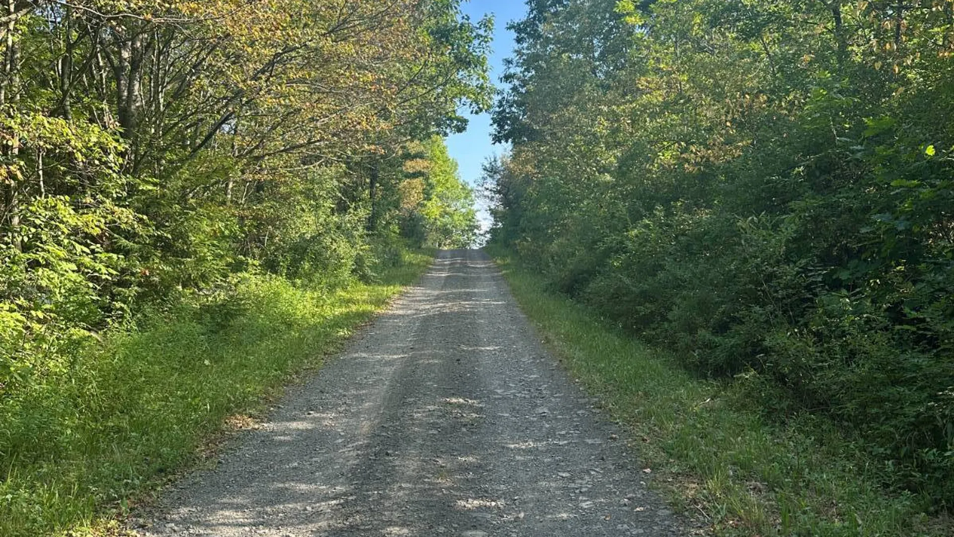 Property at 00WP Roney Rd, Preston Hollow, NY 12469 3