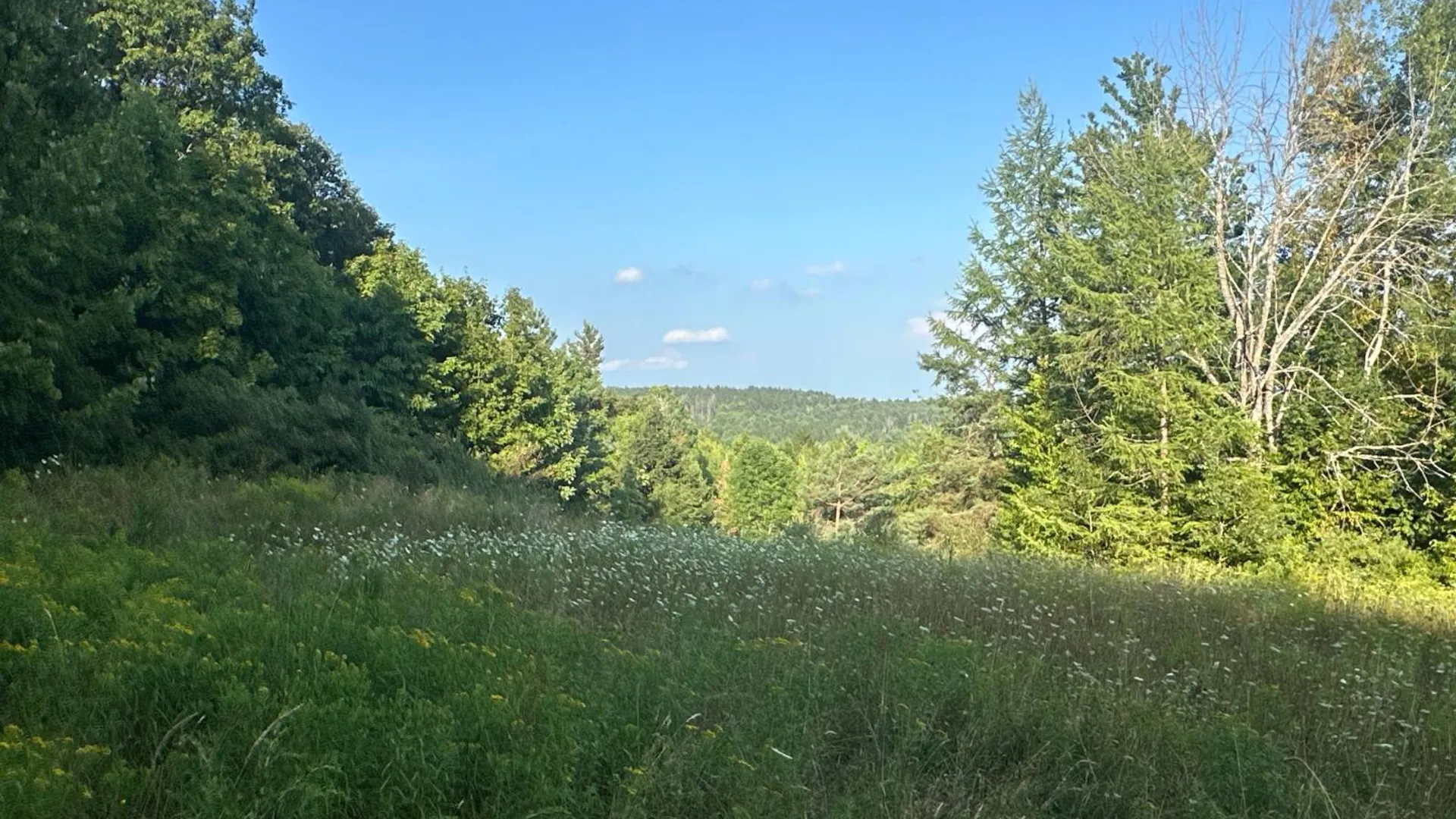 Property at 00WP Roney Rd, Preston Hollow, NY 12469 5