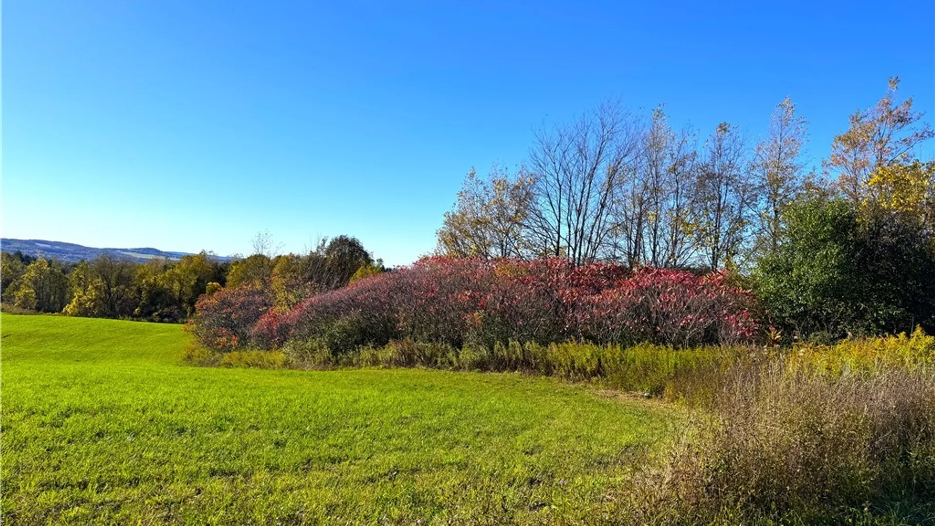 Property at Graffenburg Road, Frankfort, NY 13340 12