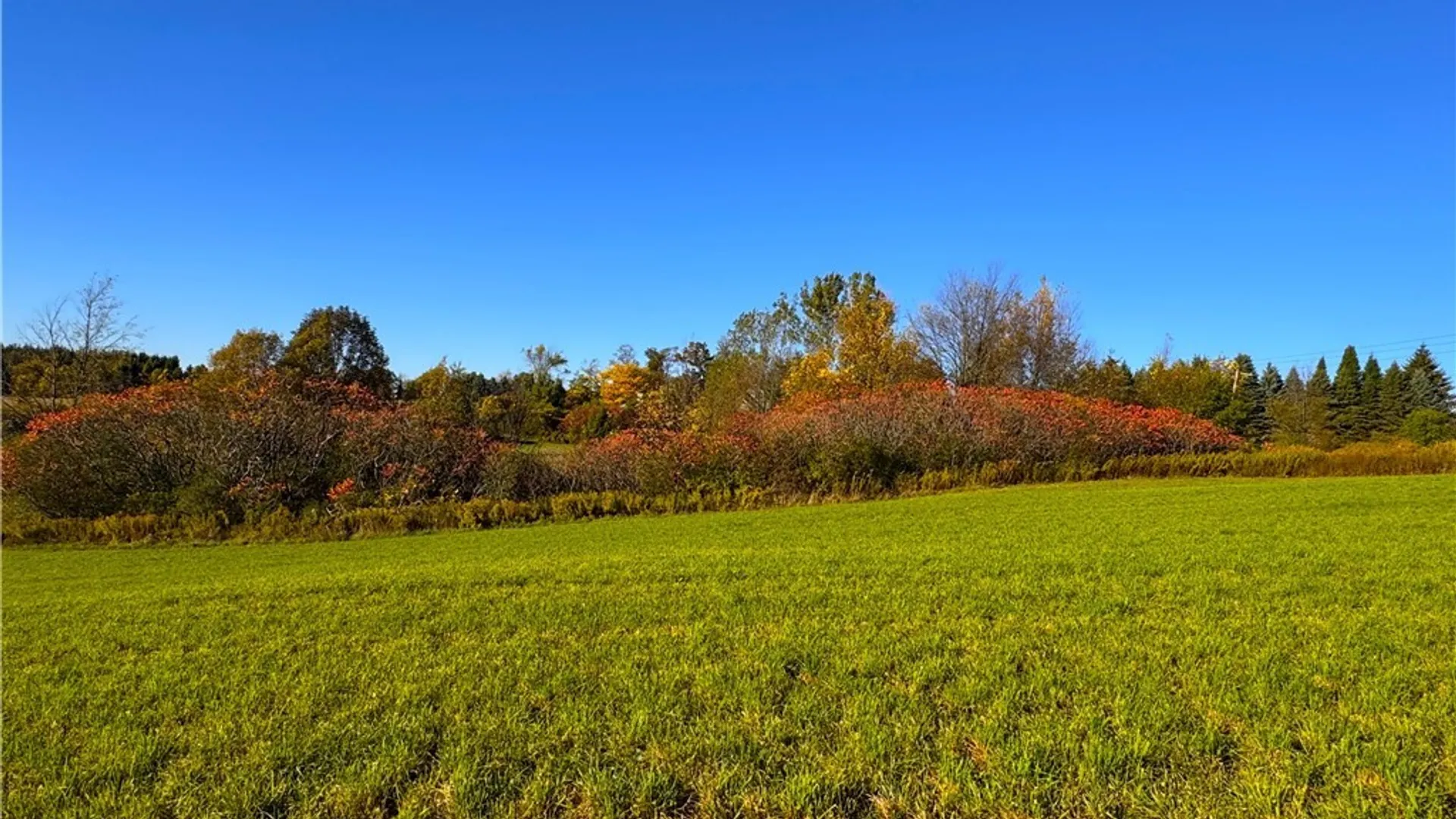 Property at Graffenburg Road, Frankfort, NY 13340 15