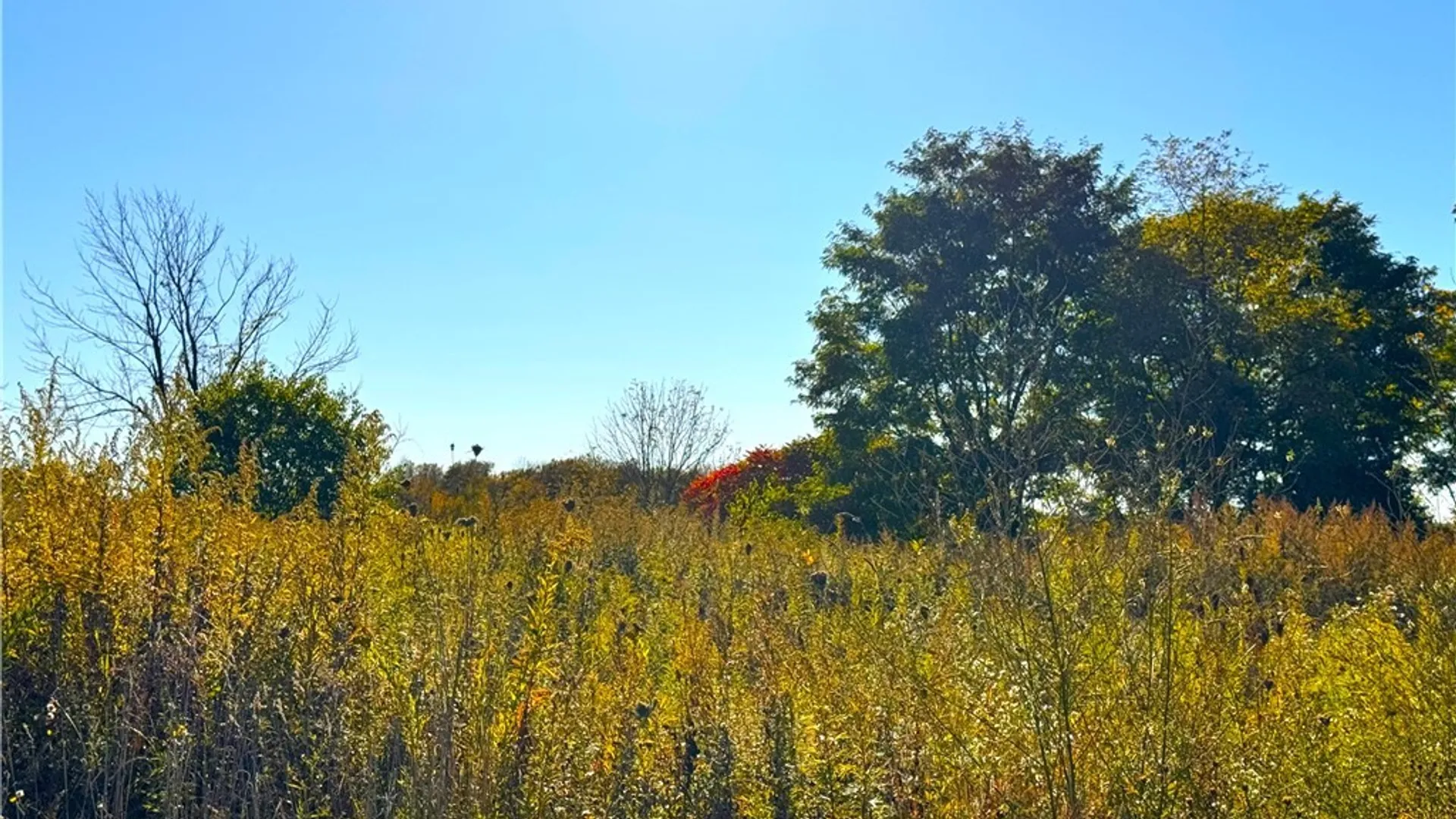 Property at Graffenburg Road, Frankfort, NY 13340 19