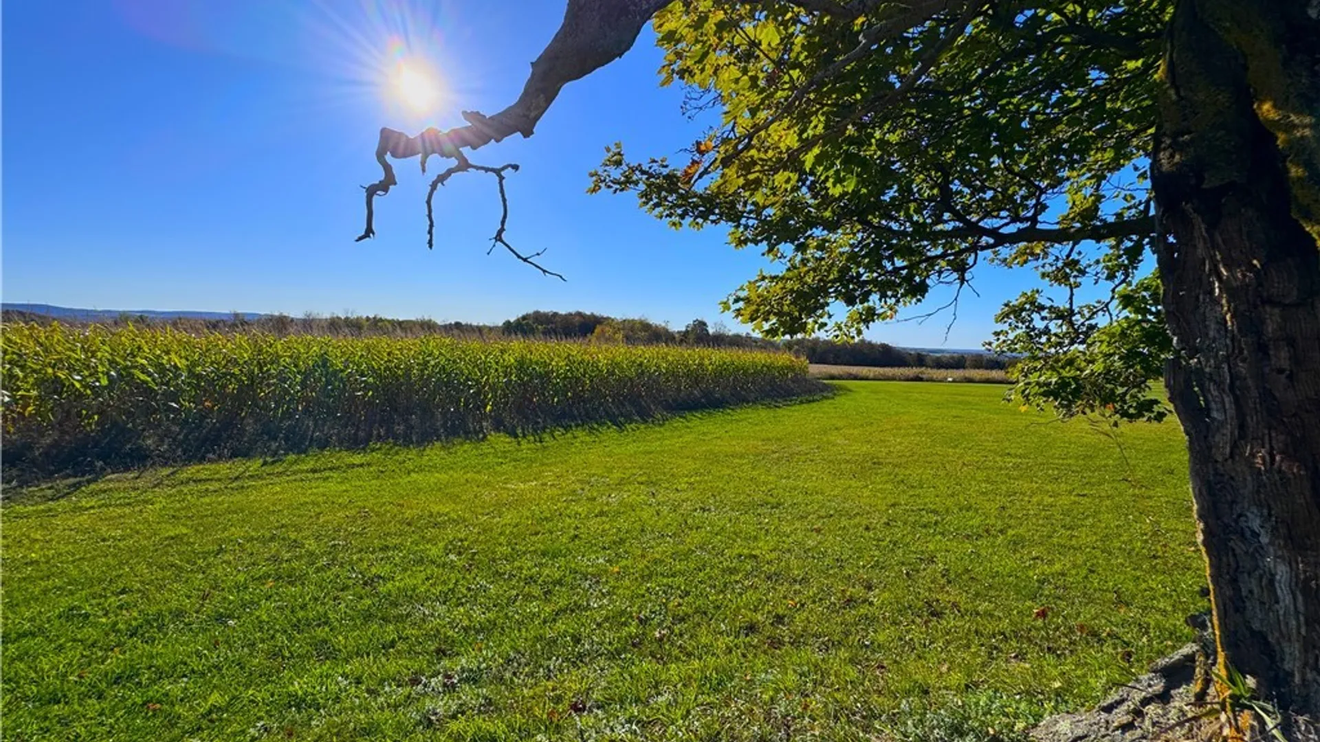 Property at Graffenburg Road, Frankfort, NY 13340 23