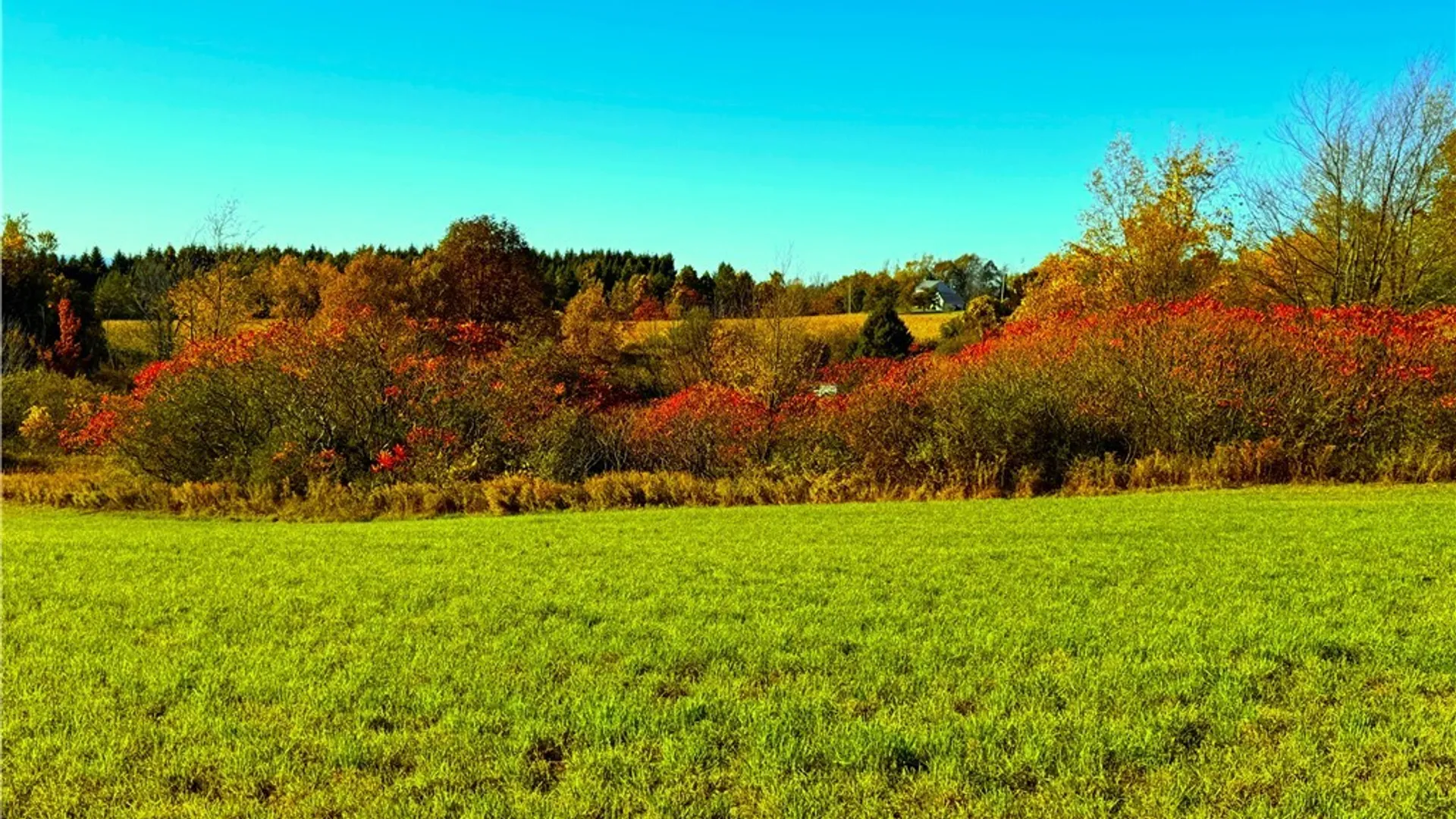 Property at Graffenburg Road, Frankfort, NY 13340 10