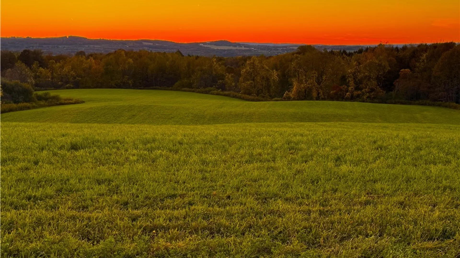 Property at Graffenburg Road, Frankfort, NY 13340 11