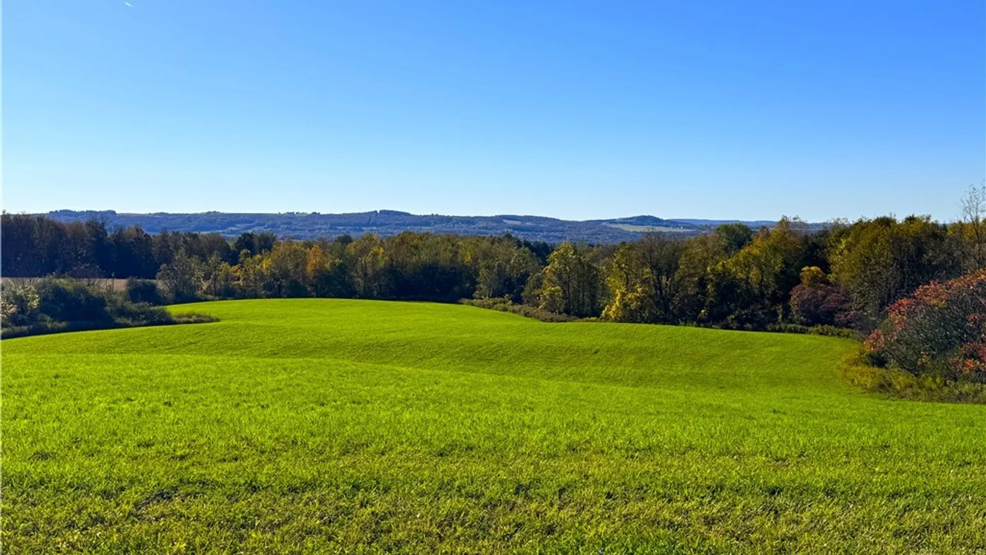 Property at Graffenburg Road, Frankfort, NY 13340 8