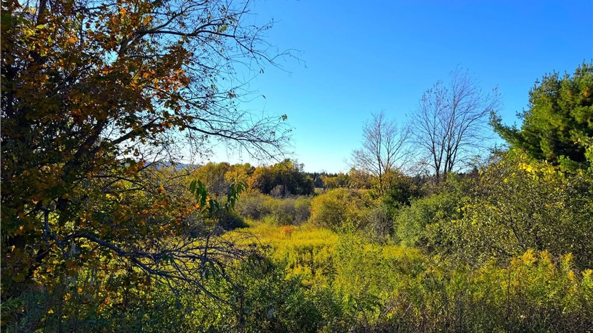 Property at Graffenburg Road, Frankfort, NY 13340 14