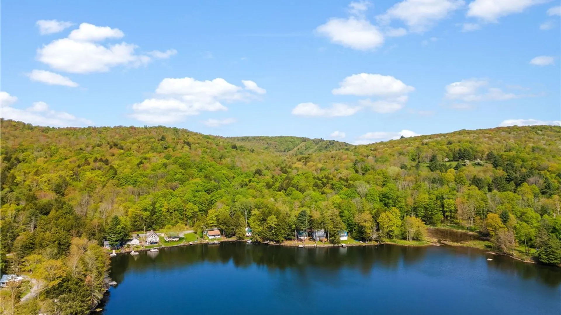 Property at 308 Silver Lake Spur, Deposit, NY 13783 9