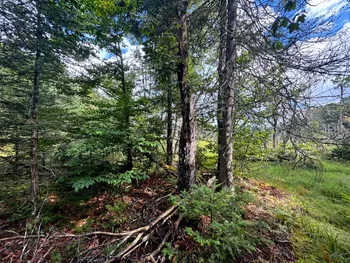 Property at 1.1 Farr Rd, Ohio, NY 13324