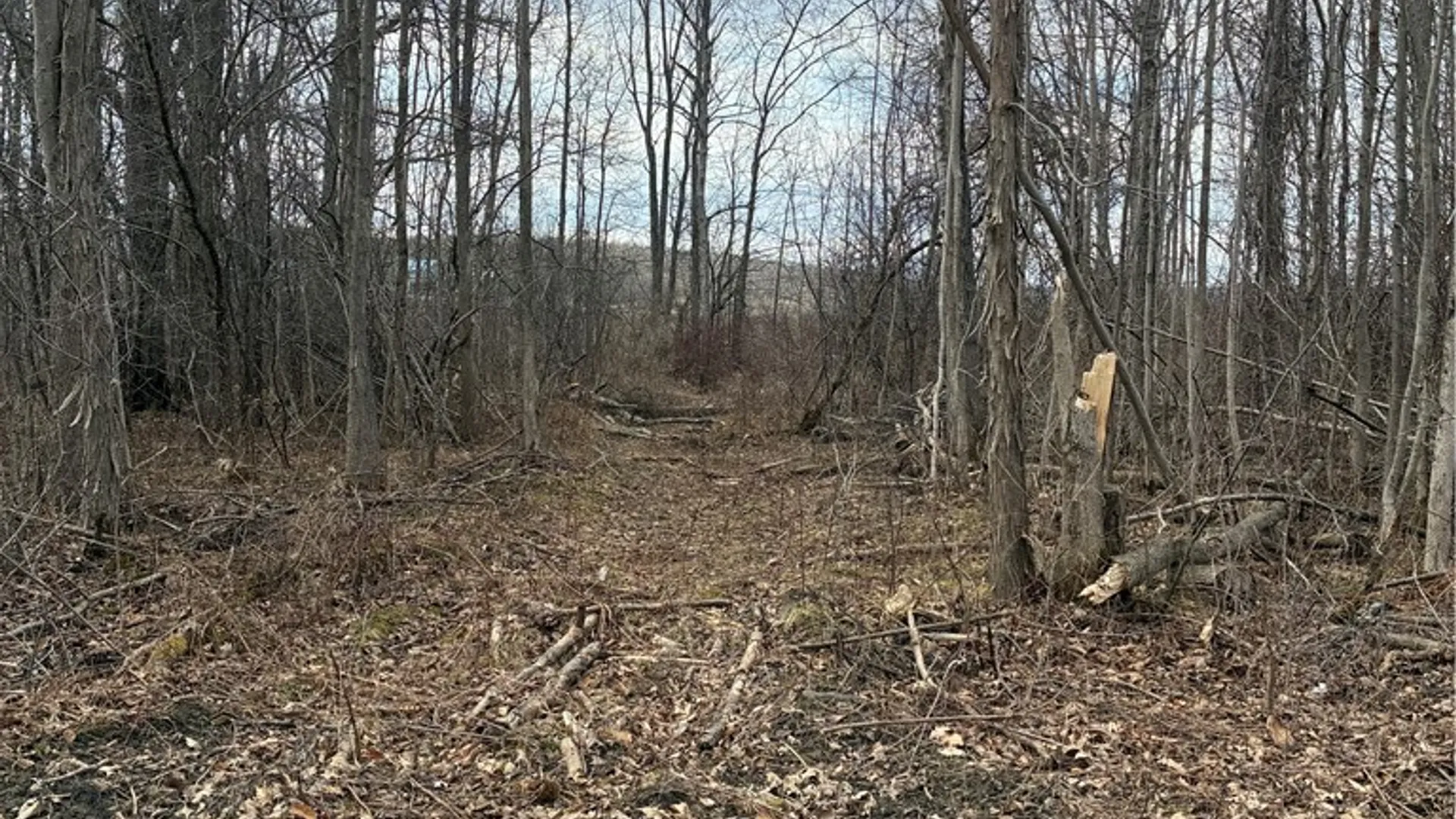 Property at 4595 Stever Hill Road, Jerusalem, NY 14418 6