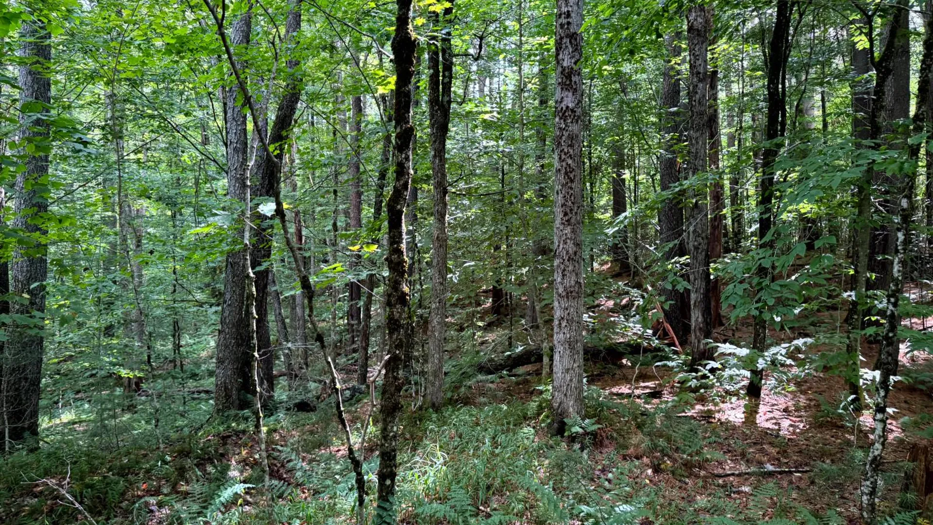 Property at 1.3 Farr Rd, Ohio, NY 13324 10