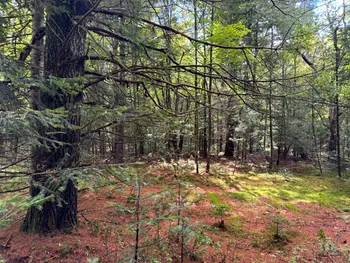 Property at 1.3 Farr Rd, Ohio, NY 13324