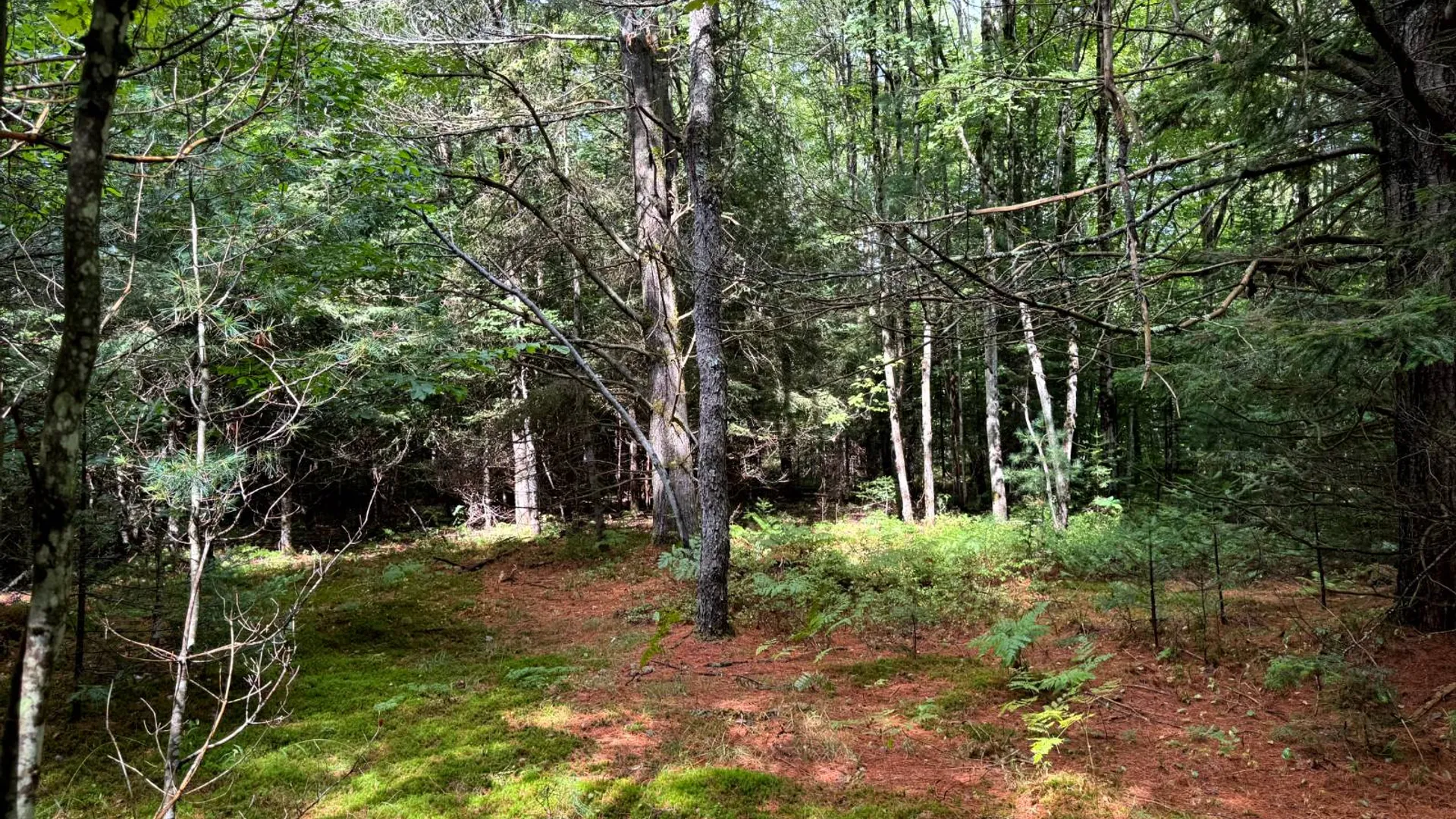 Property at 1.3 Farr Rd, Ohio, NY 13324 3