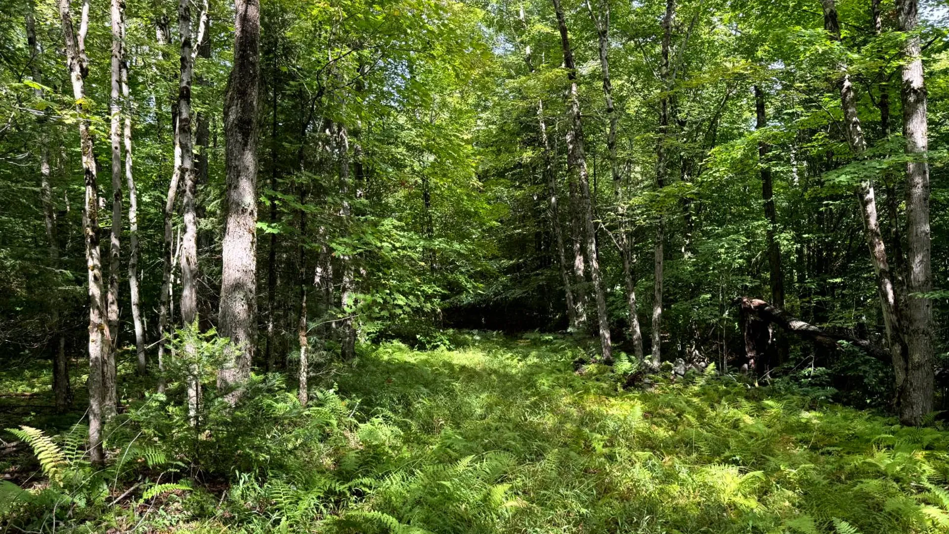 Property at 1.3 Farr Rd, Ohio, NY 13324 4