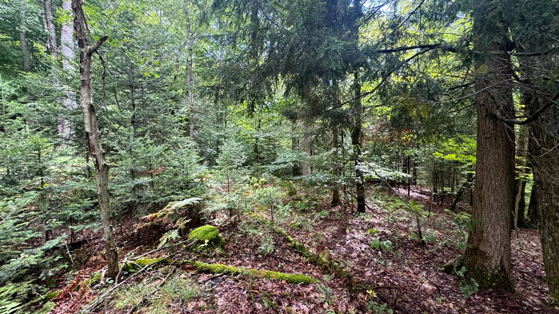 Property at 1.3 Farr Rd, Ohio, NY 13324 6