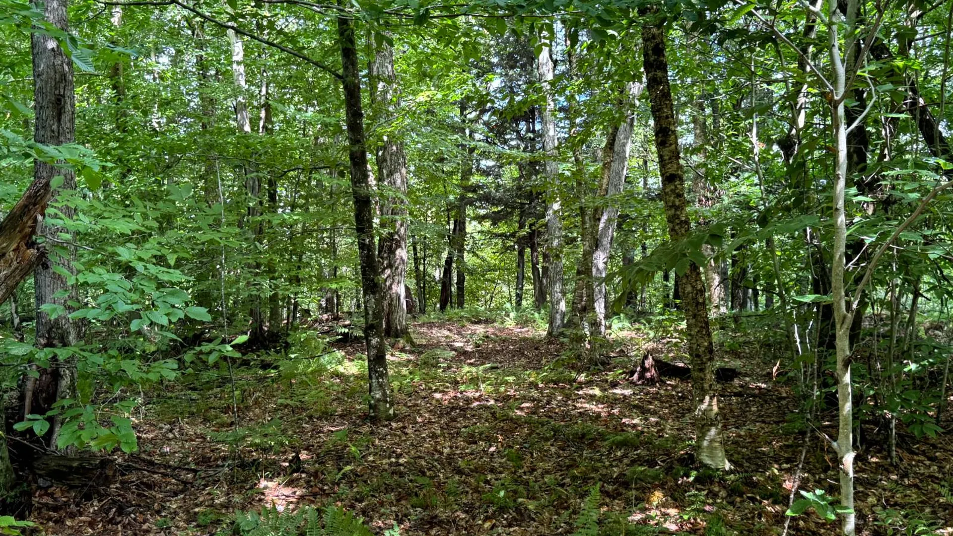 Property at 1.3 Farr Rd, Ohio, NY 13324 8