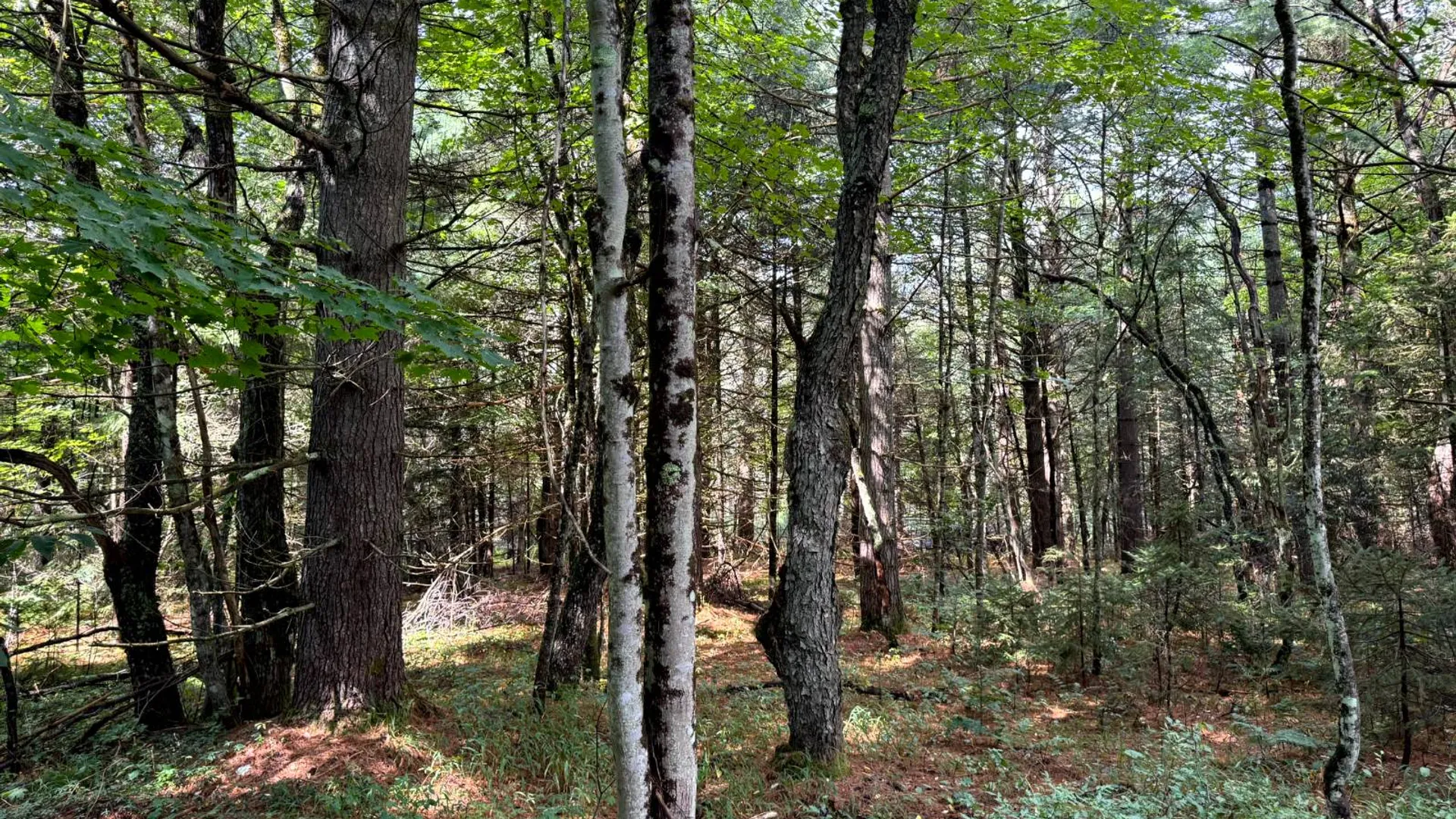 Property at 1.4 Farr Rd, Ohio, NY 13324 3