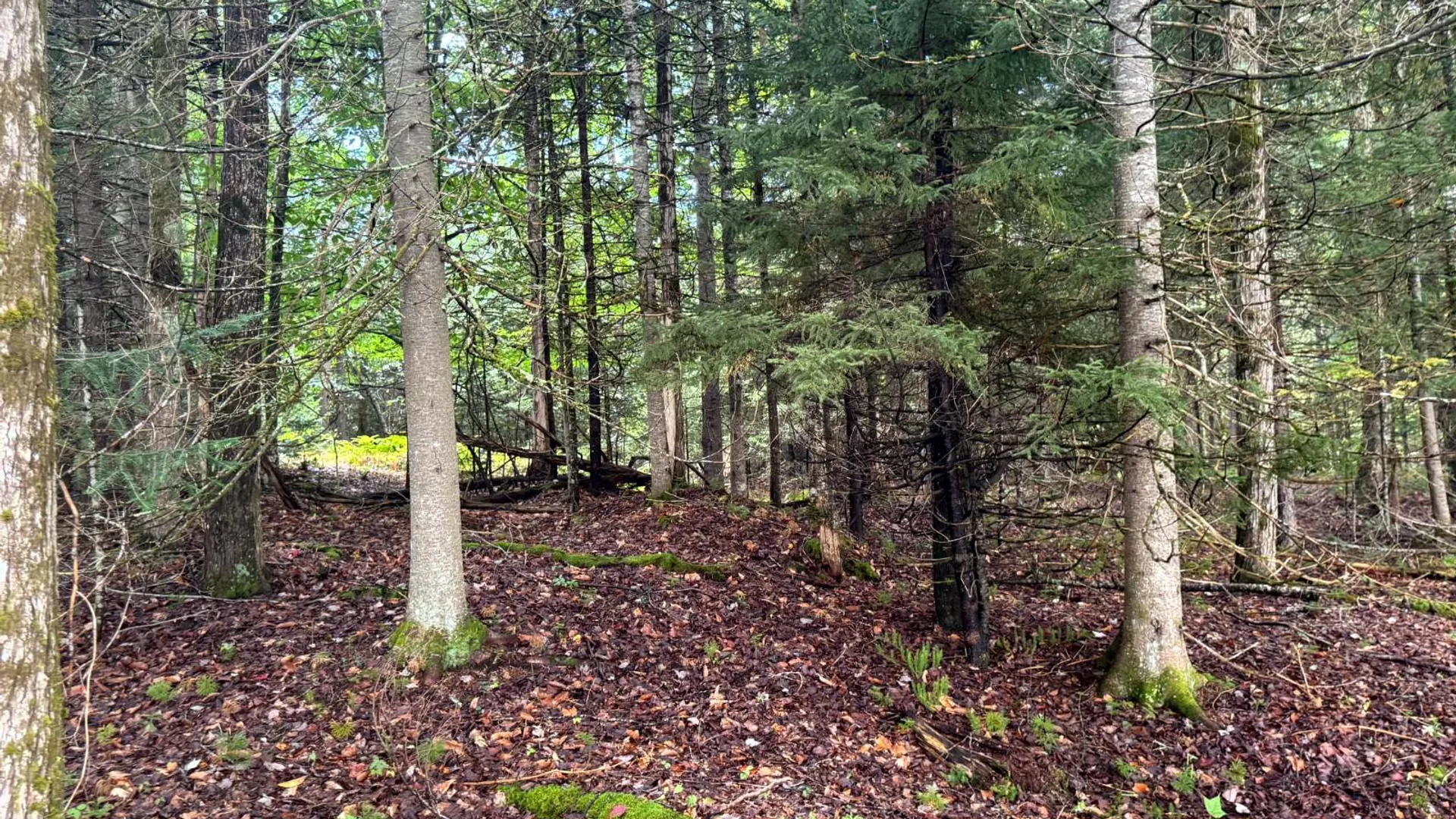 Property at 1.4 Farr Rd, Ohio, NY 13324 4