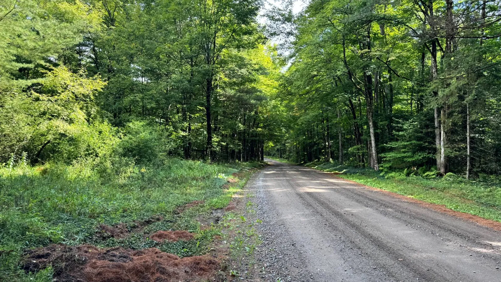 Property at 1.4 Farr Rd, Ohio, NY 13324 8