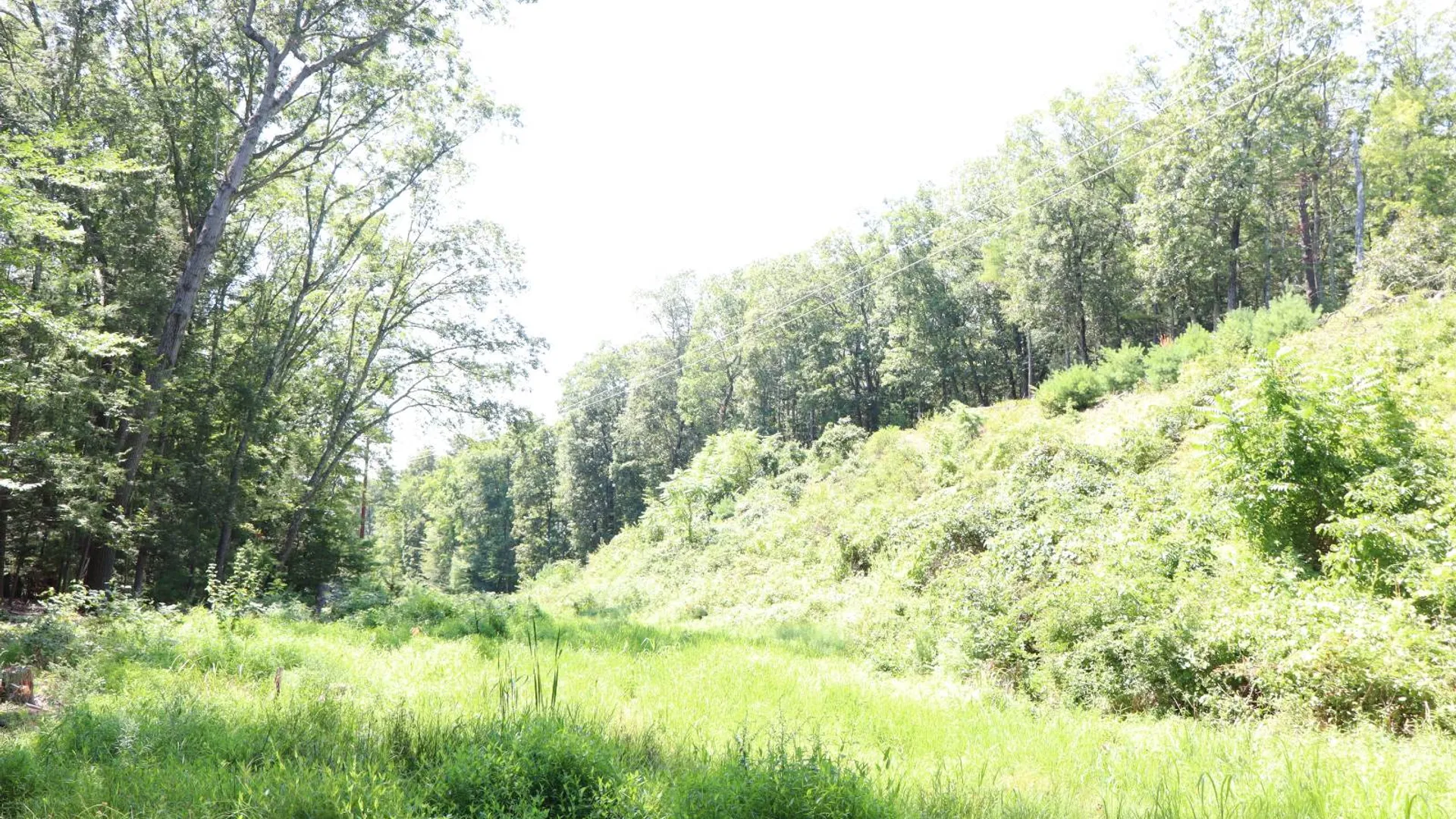 Property at 2050 Sawkill-Ruby Road, Kingston, NY 12401 36