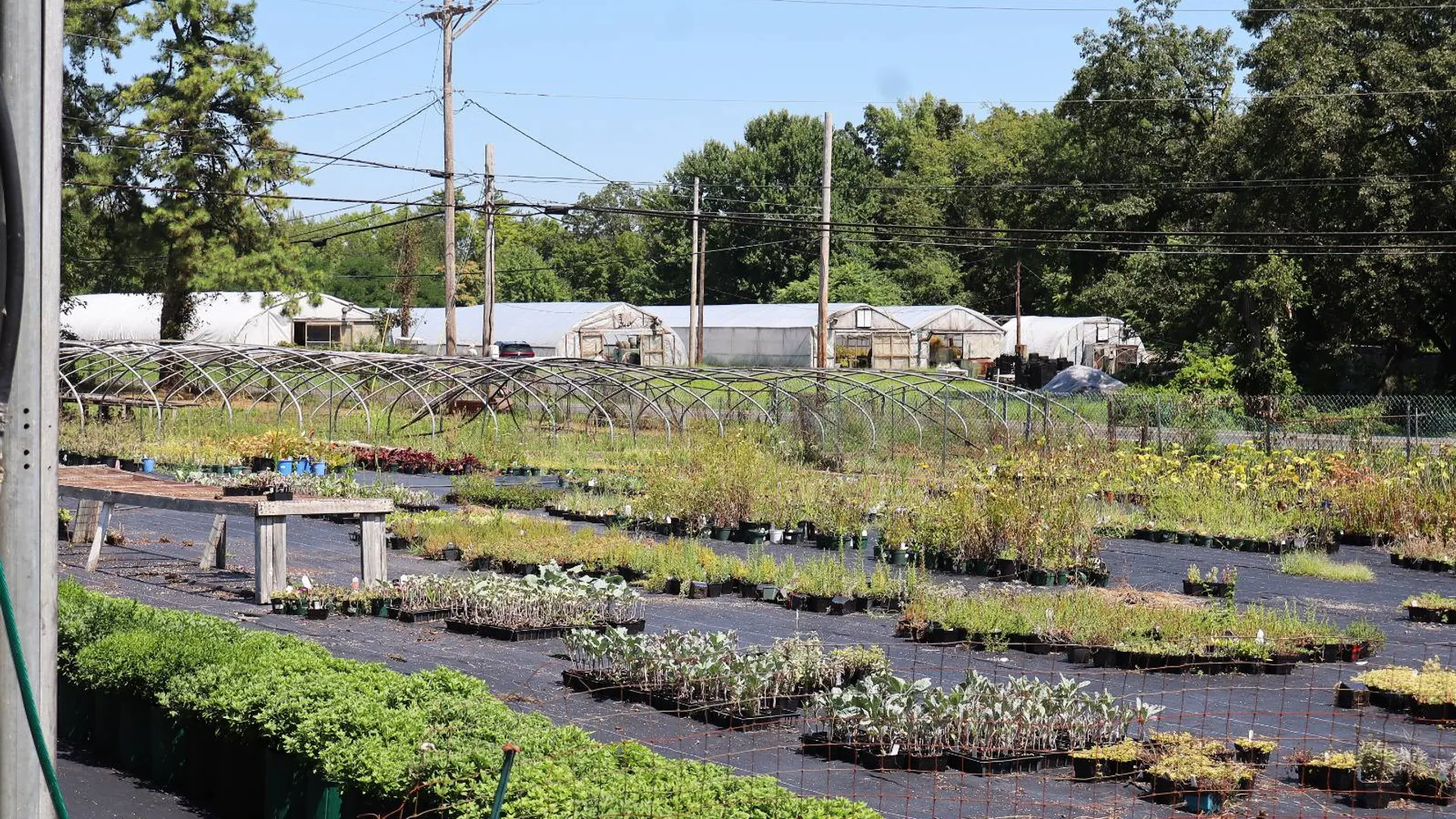 Property at 2050 Sawkill-Ruby Road, Kingston, NY 12401 42