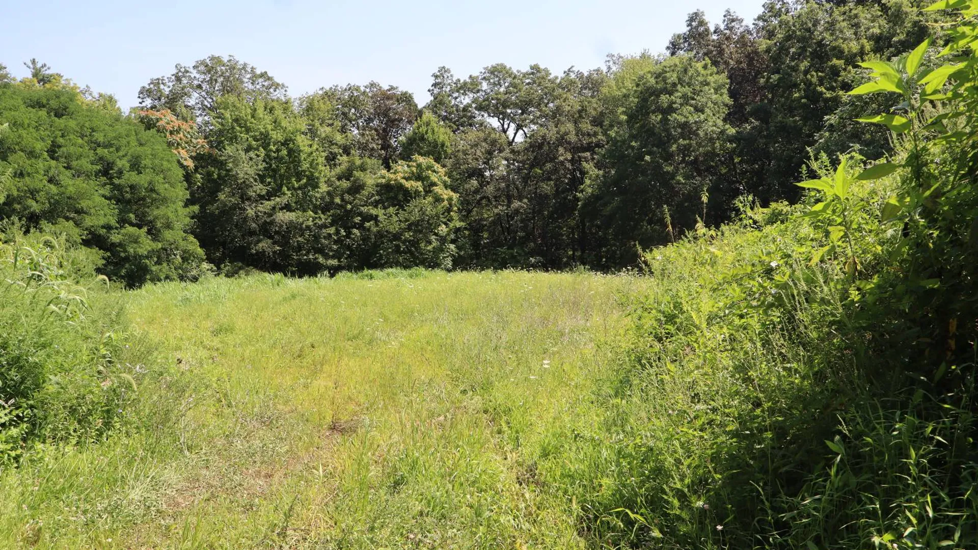 Property at 2050 Sawkill-Ruby Road, Kingston, NY 12401 43