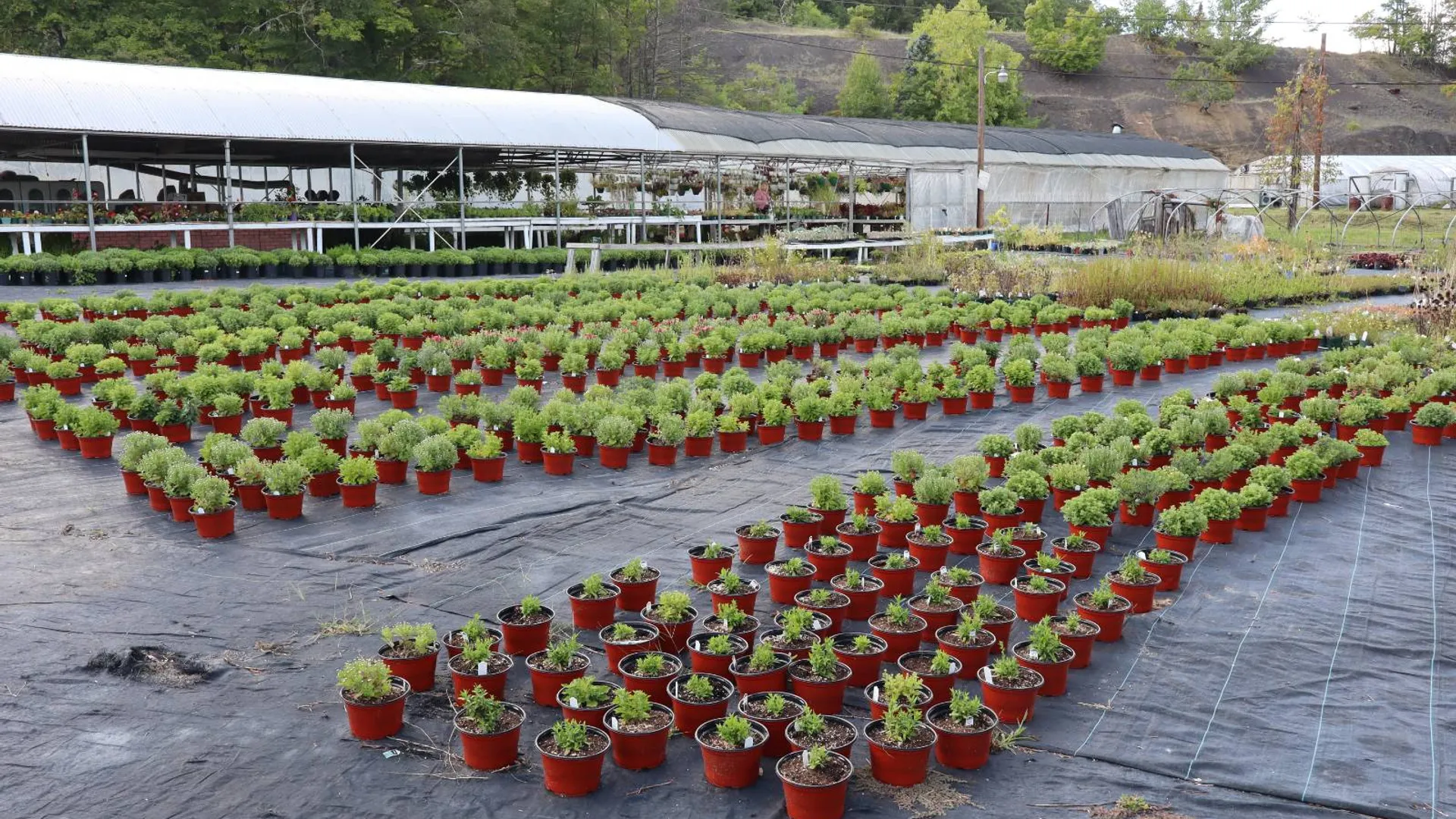 Property at 2050 Sawkill-Ruby Road, Kingston, NY 12401 45