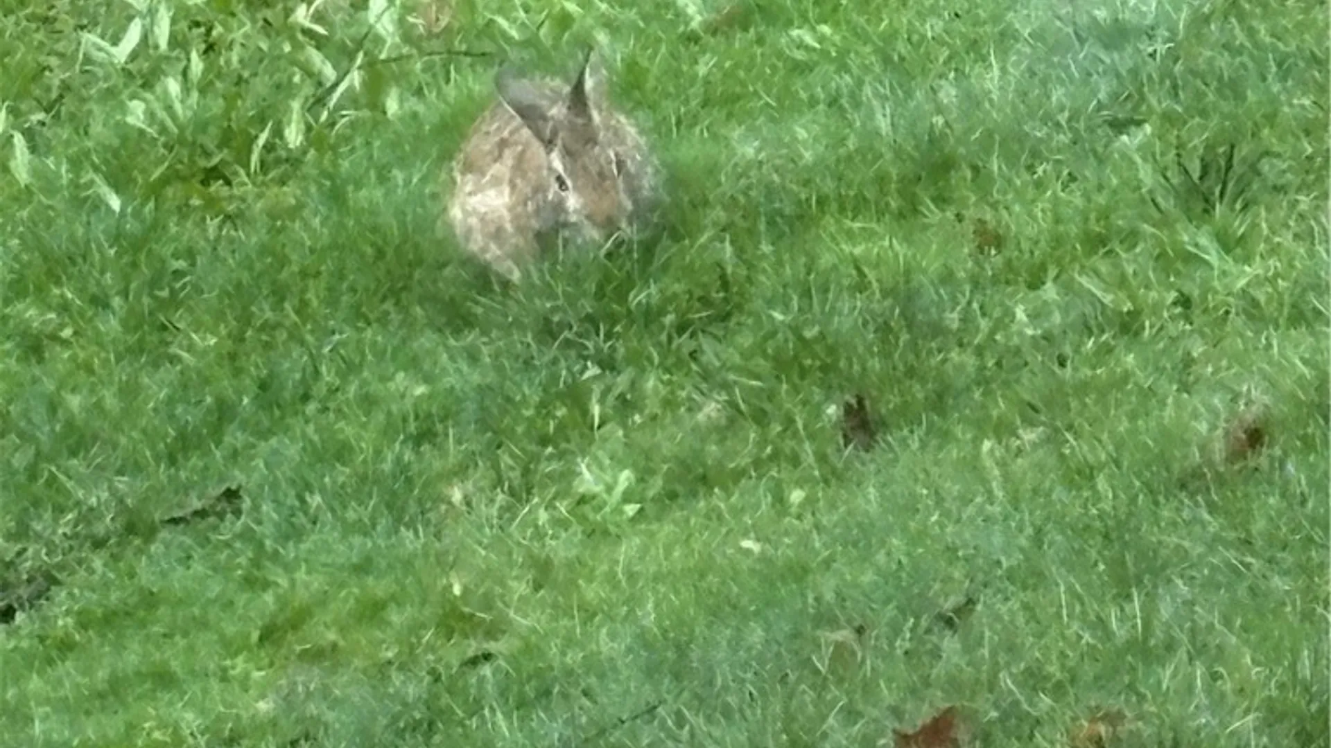 Property at County Road 46 Lower Ravine Road, Norwich, NY 13815 19