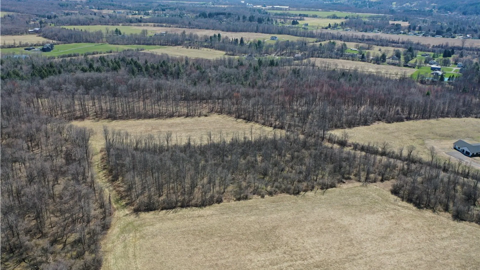 Property at Chapman Road, New Hartford, NY 13413 4