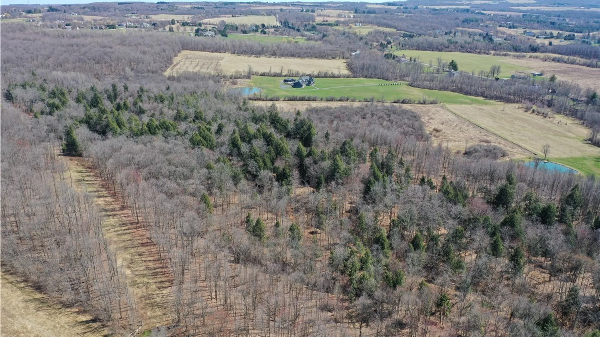 Property at Chapman Road, New Hartford, NY 13413 7