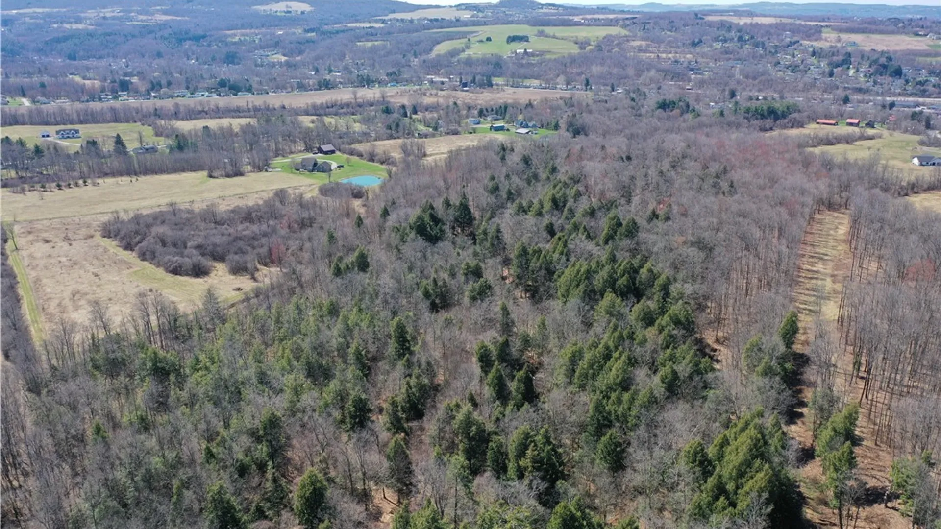 Property at Chapman Road, New Hartford, NY 13413 8