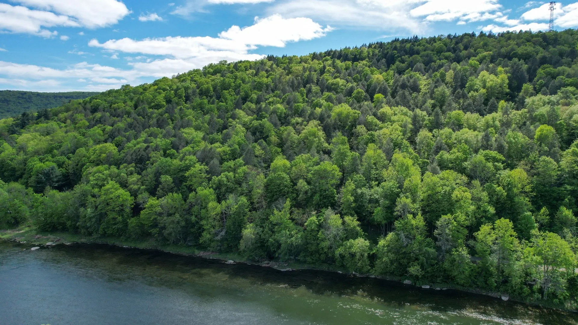 Property at 0 Perkins Rd, Hancock, NY 13783 11