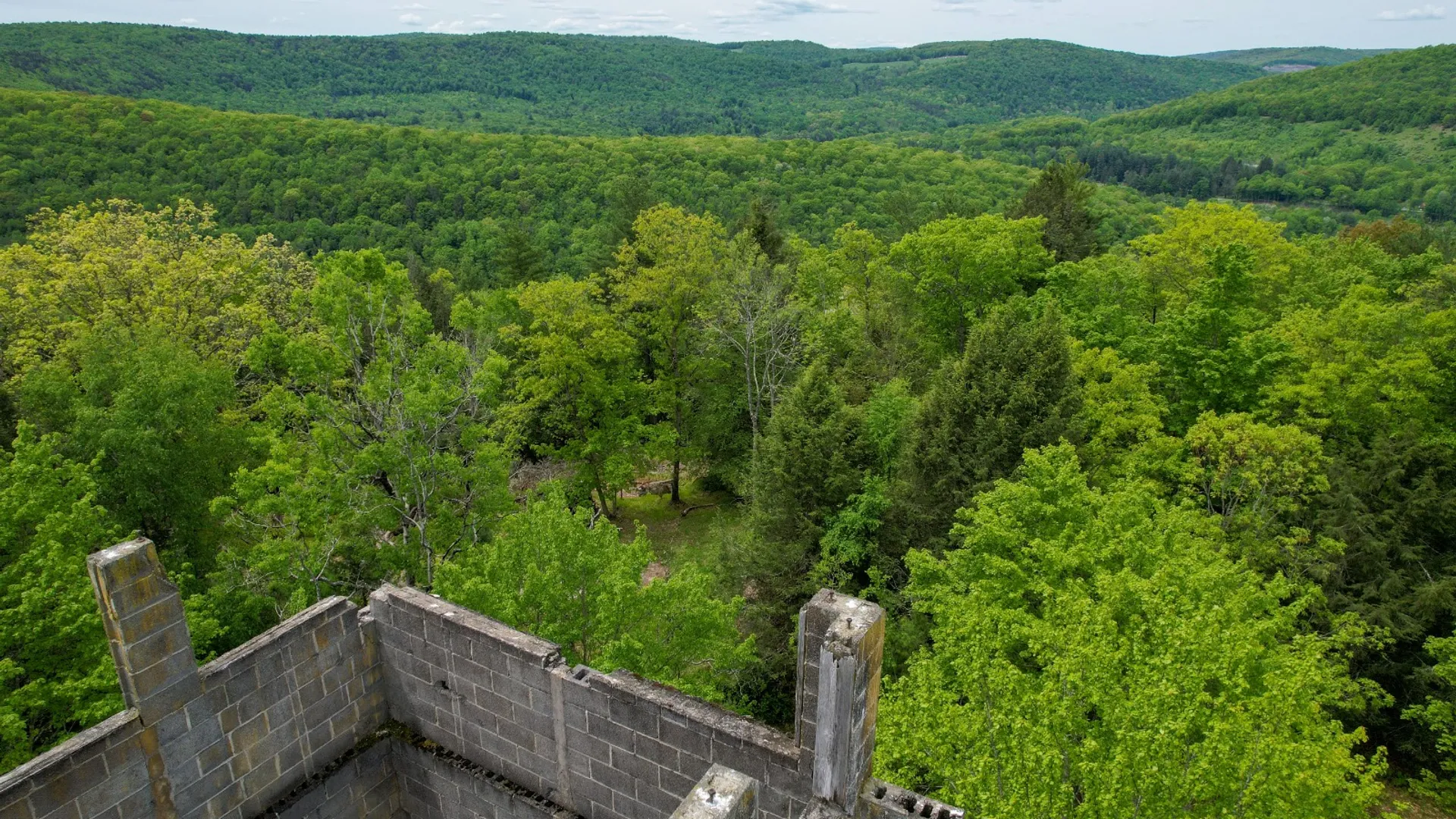 Property at 0 Perkins Rd, Hancock, NY 13783 13