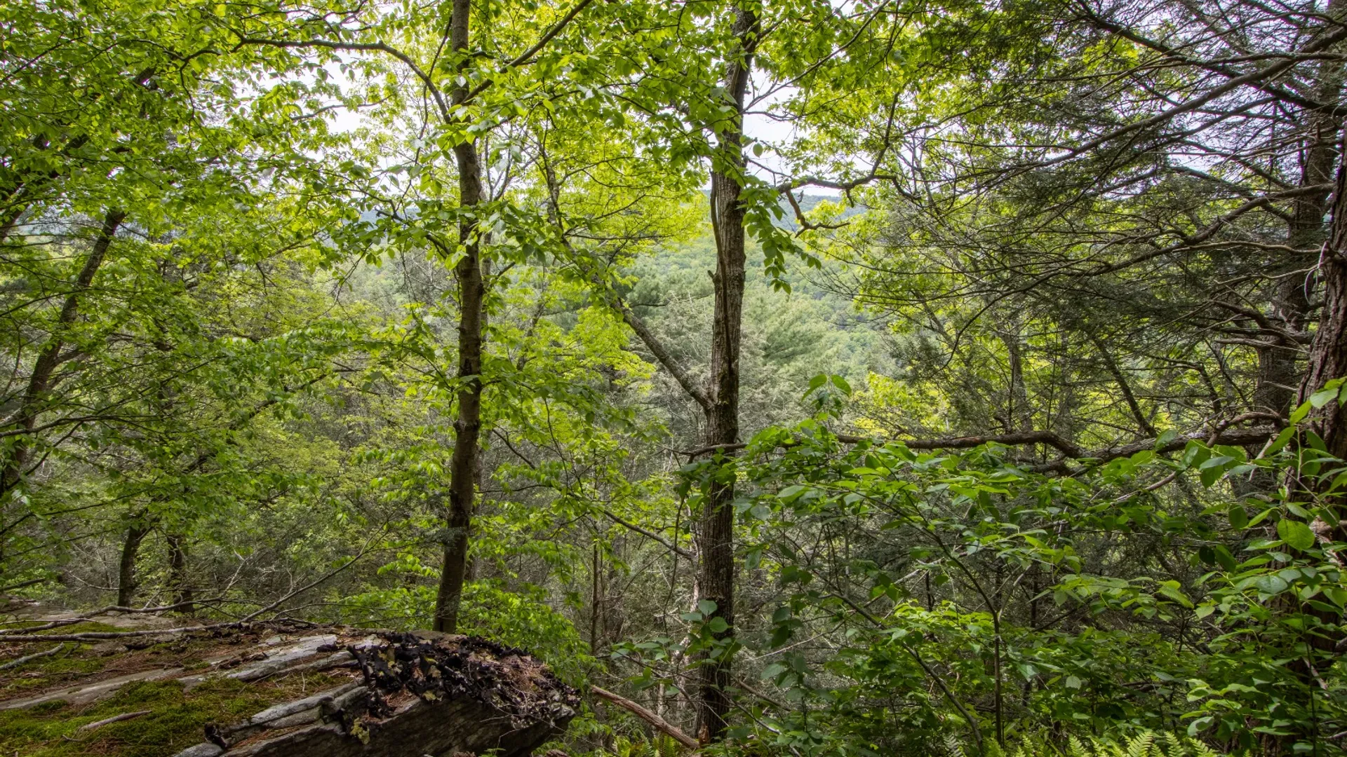 Property at 0 Perkins Rd, Hancock, NY 13783 15